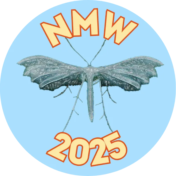 Nemzetközi Éjszakai Lepke Hét 2025 pecsét