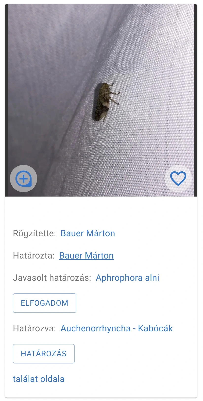 Határozási funkciók