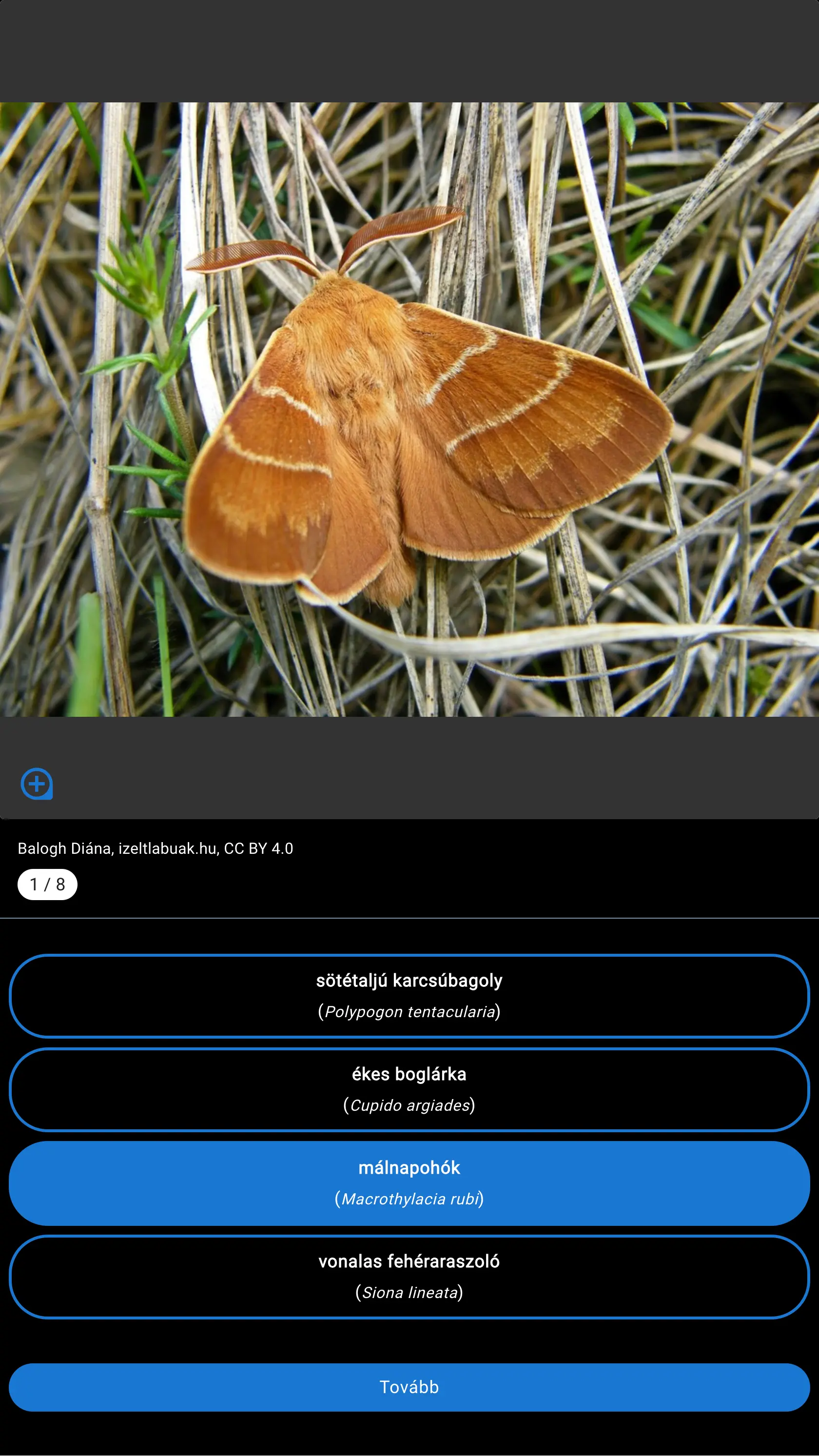 Fejfelismerő játékunk