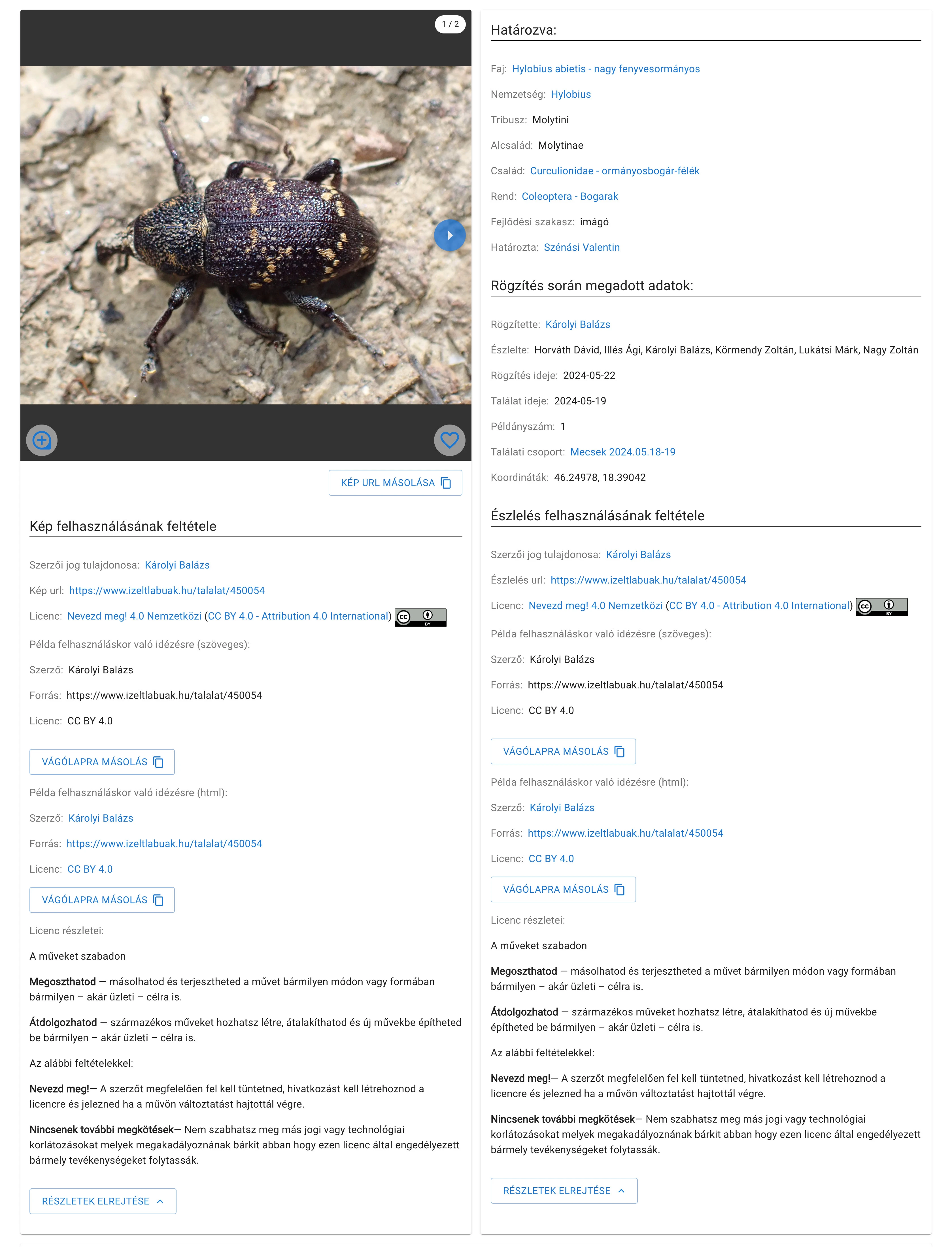 Felhasználási feltételek részletes nézete észlelés oldalon