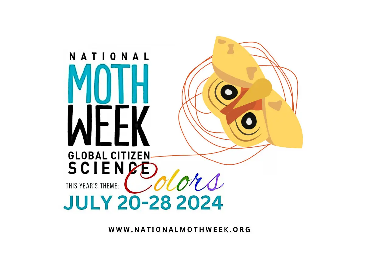 National Moth Week (Nemzetközi Éjszakai Lepke Hét