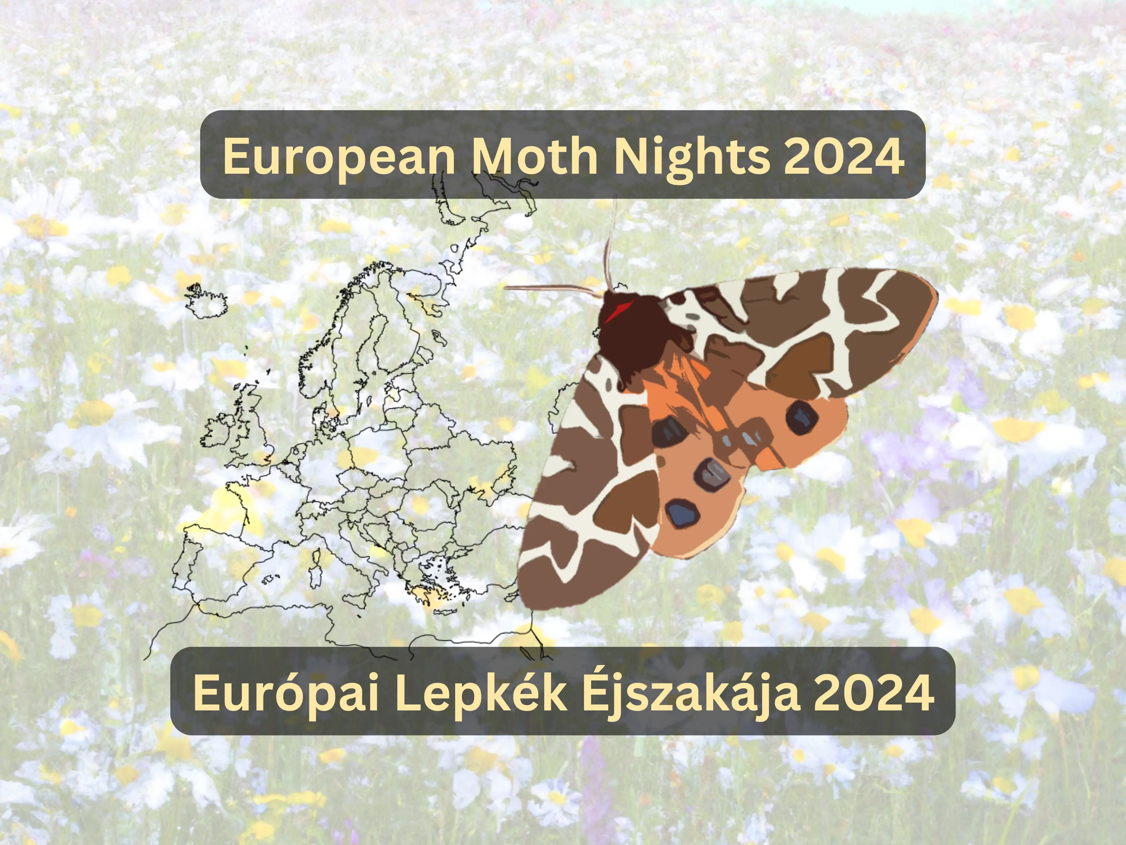 European Moth Nights 2024