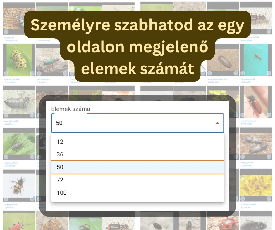 Személyre szabhatod az egy oldalon megjelenő elemek számát