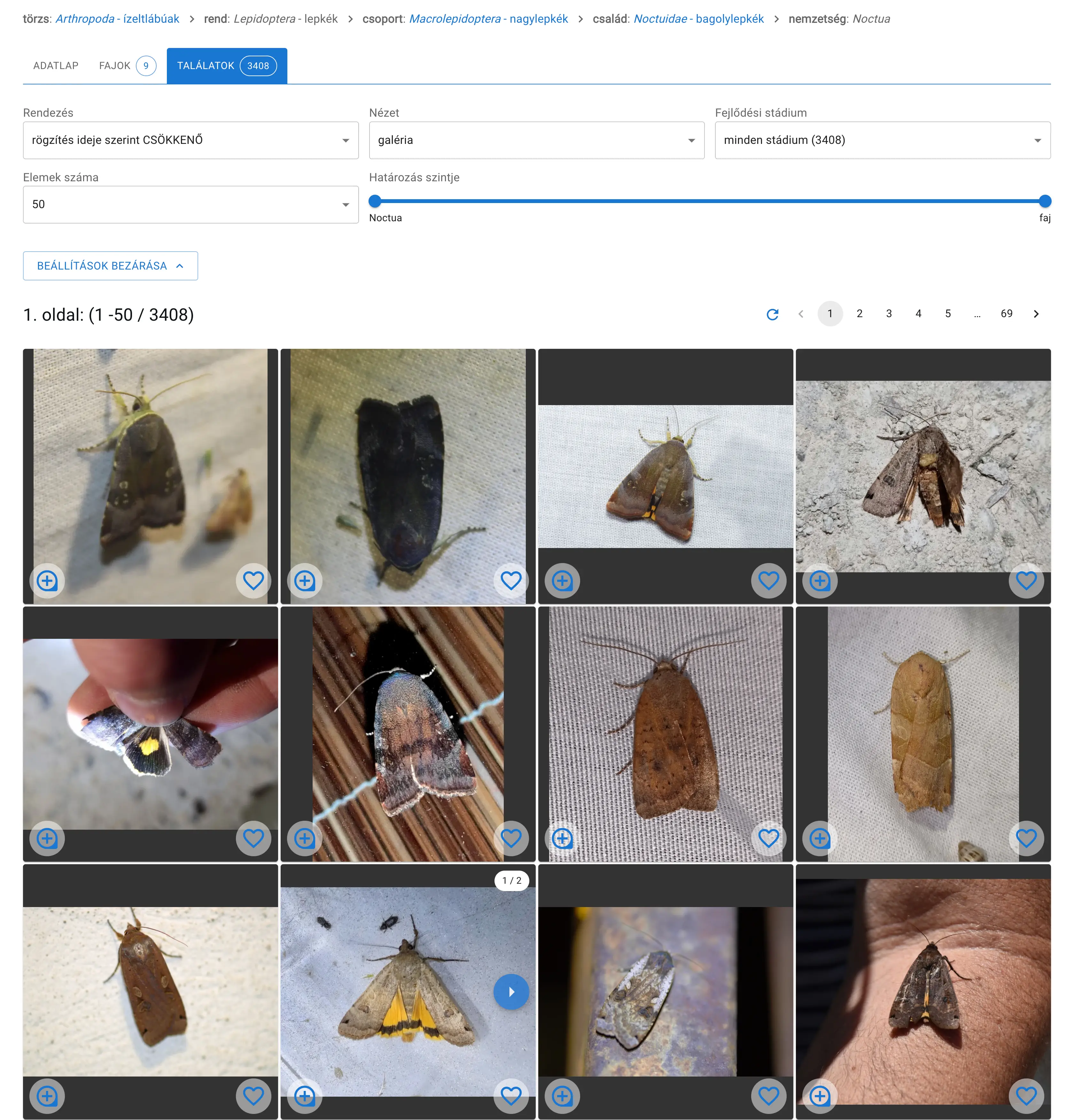 Példa: a sárgafűbaglyok (Noctua) nemzetségébe sorolt észlelések fajok