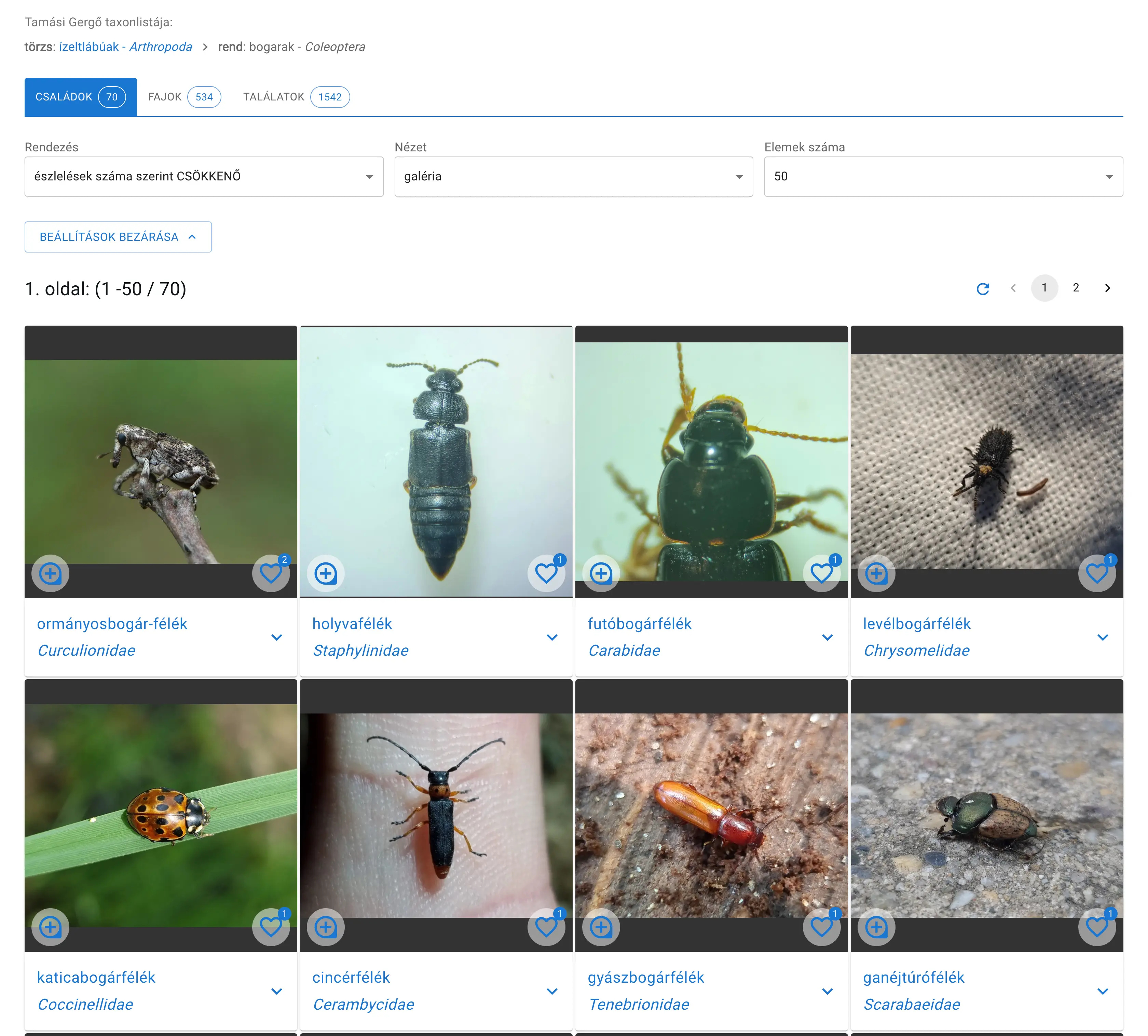 Példa: Tamási Gergő által észlelt bogárcsaládok (Coleoptera)