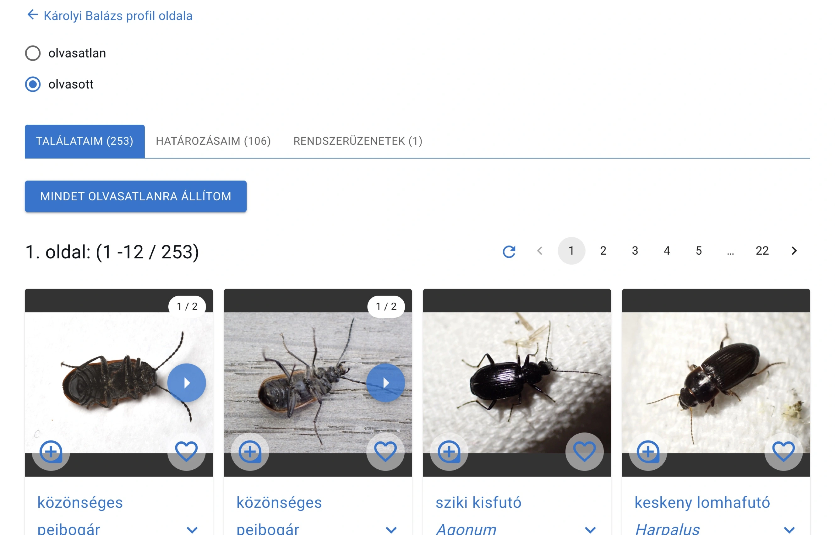 Értesítések (csak belépett felhasználók számára)