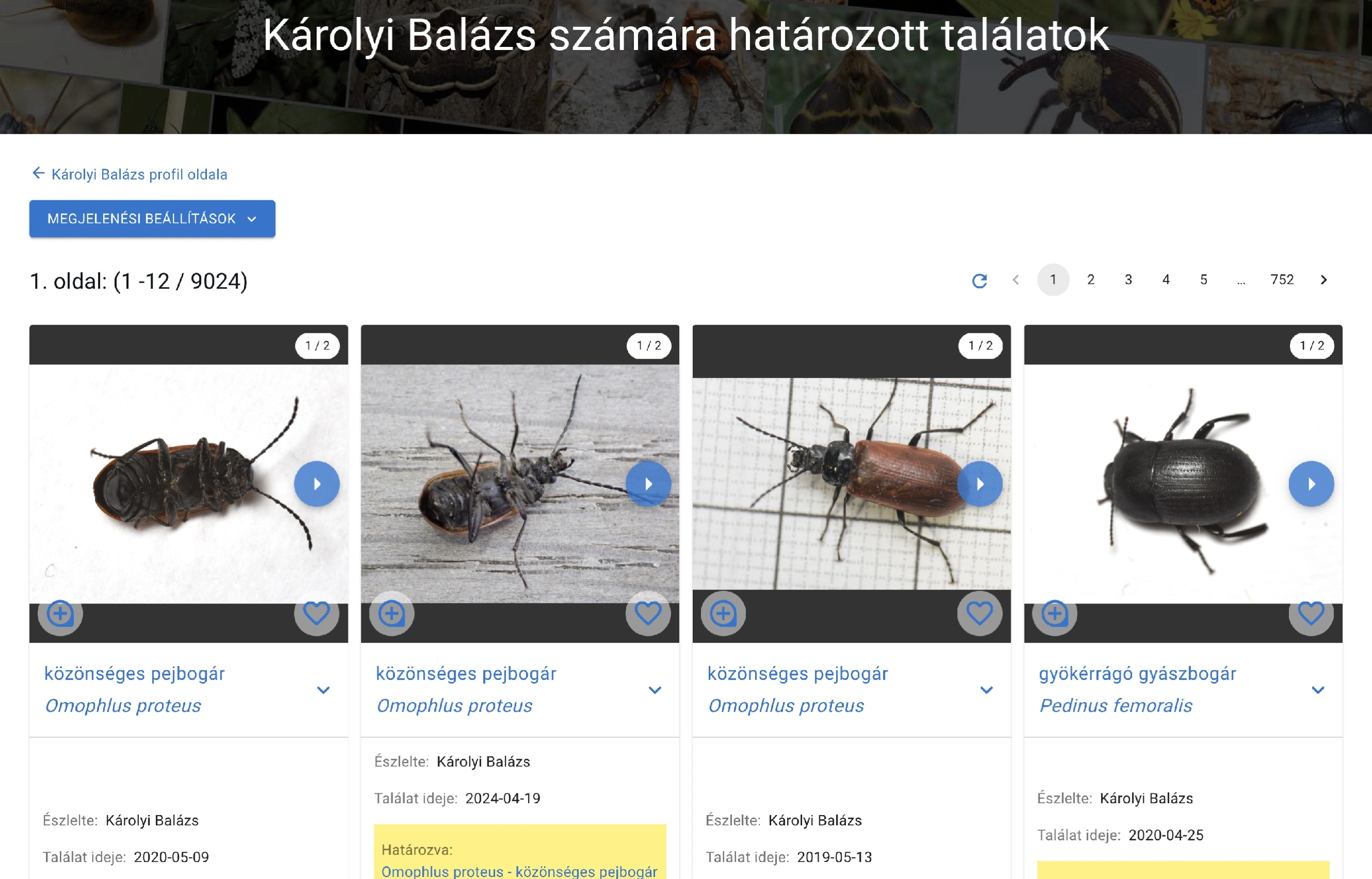 Egy felhasználó számára határozott észlelések (példa)