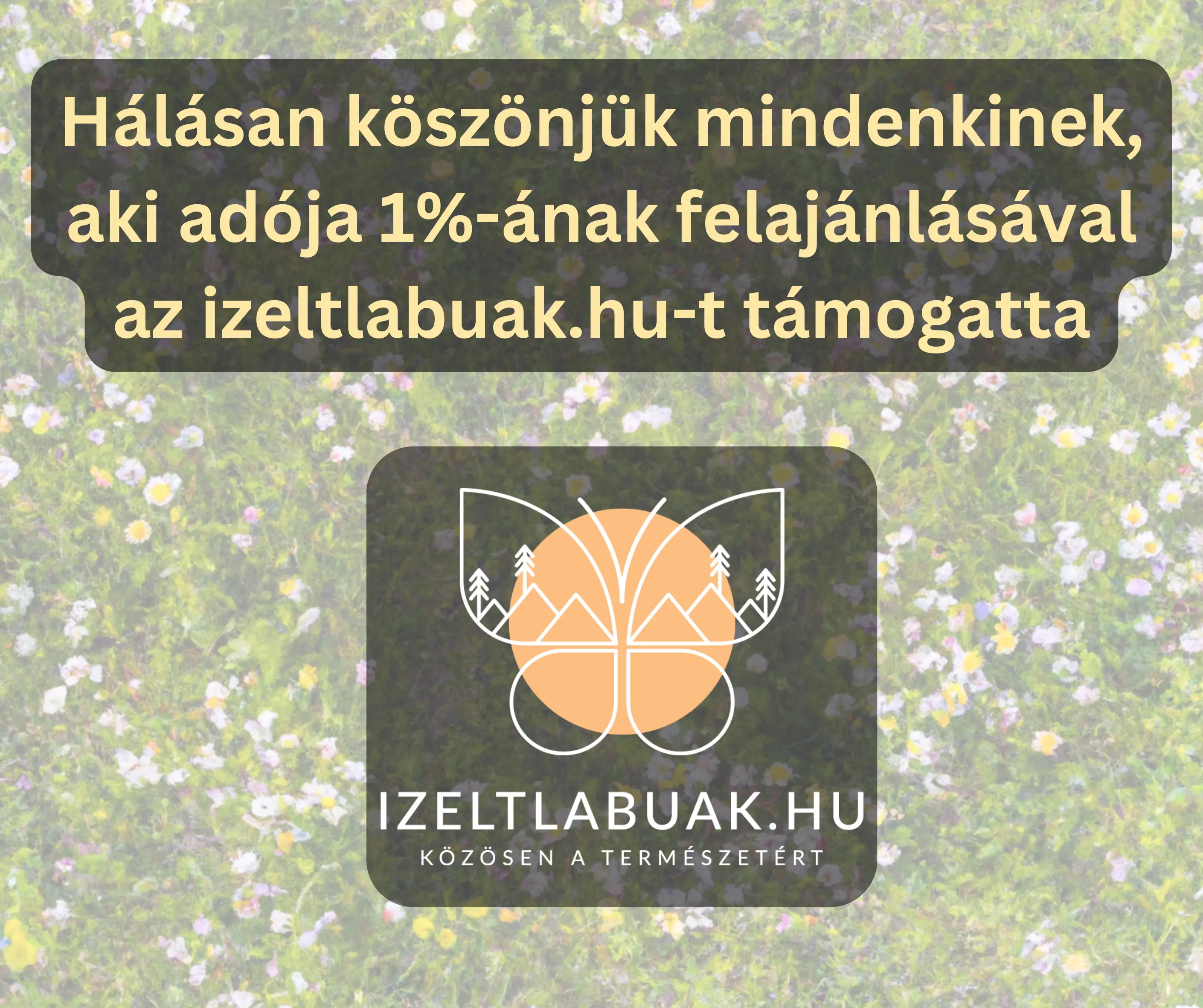 A Nav adó egy százalék köszönet