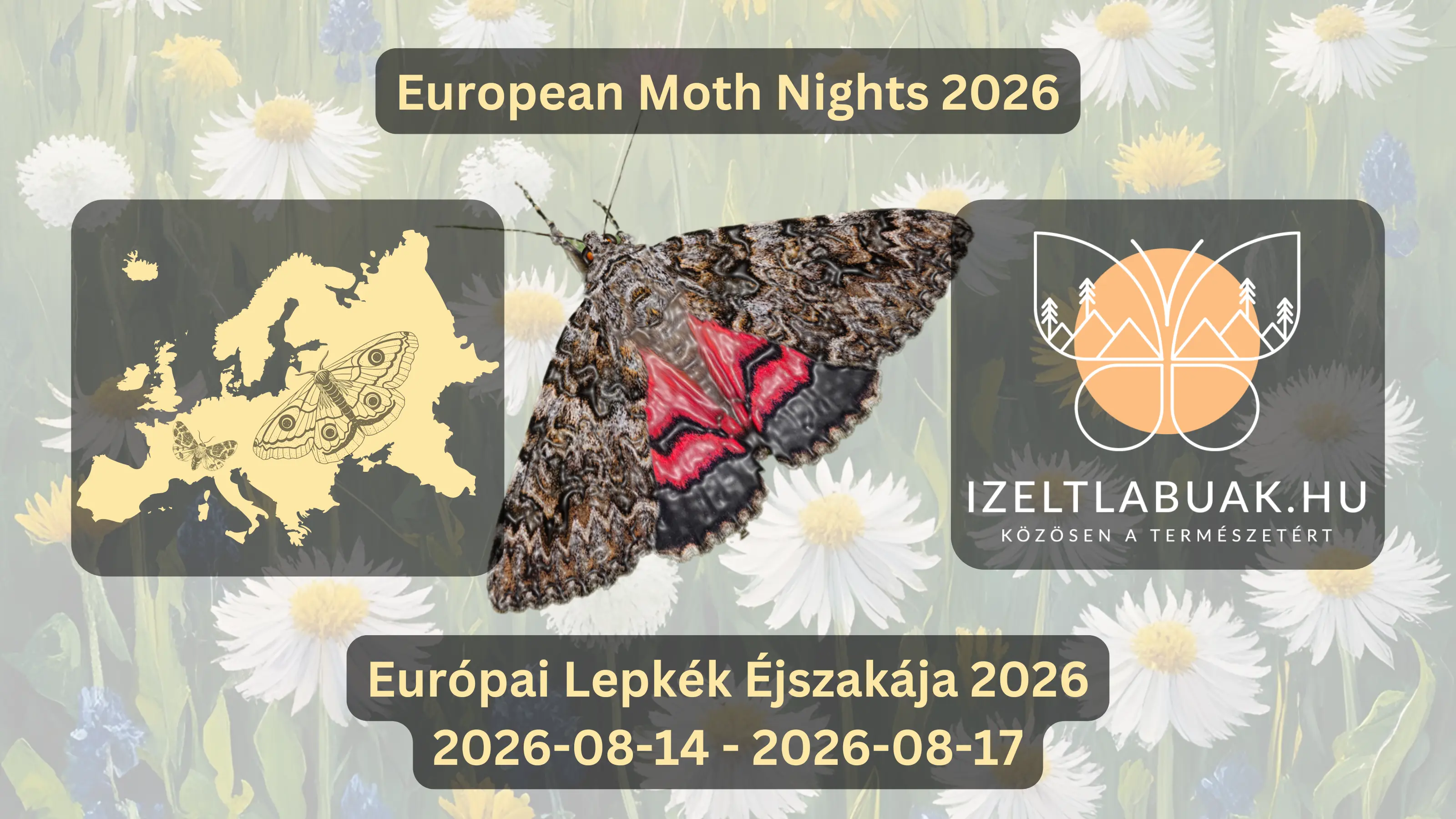Európai Lepkék Éjszakája 2026