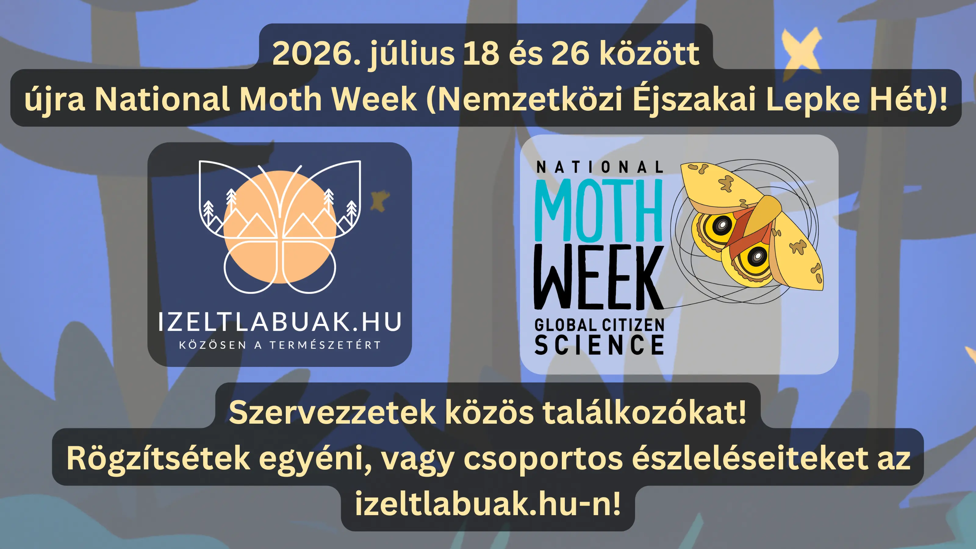 National Moth Week (Nemzetközi Éjszakai Lepke Hét)