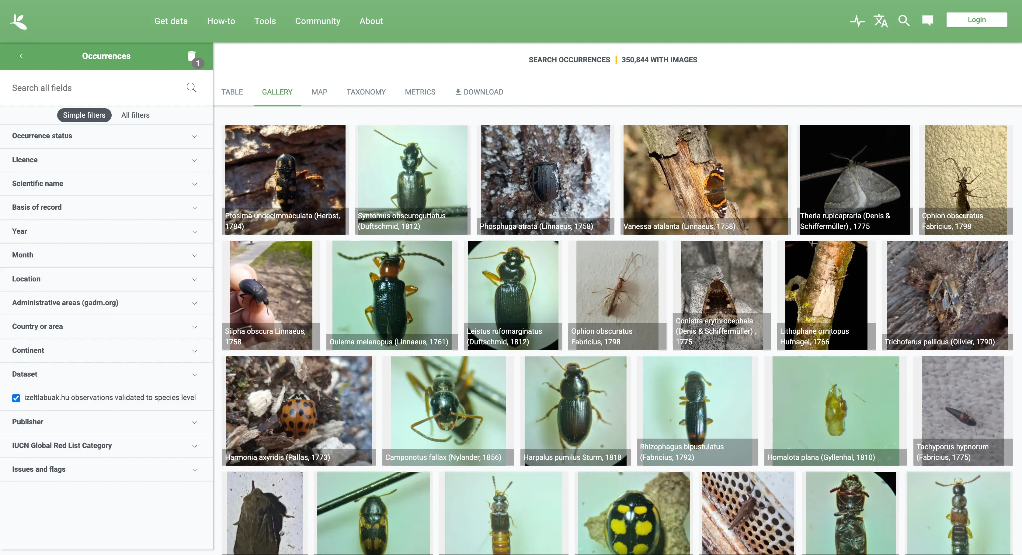 izeltlabuak.hu adatok galéria nézete a gbif.org-on