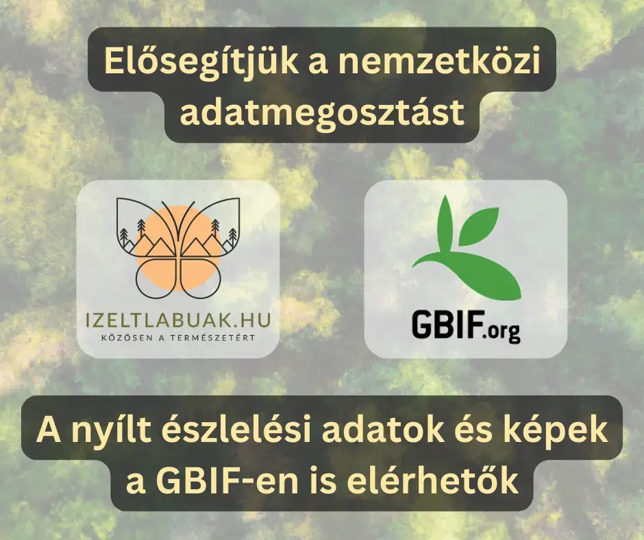 GBIF adatmegosztás