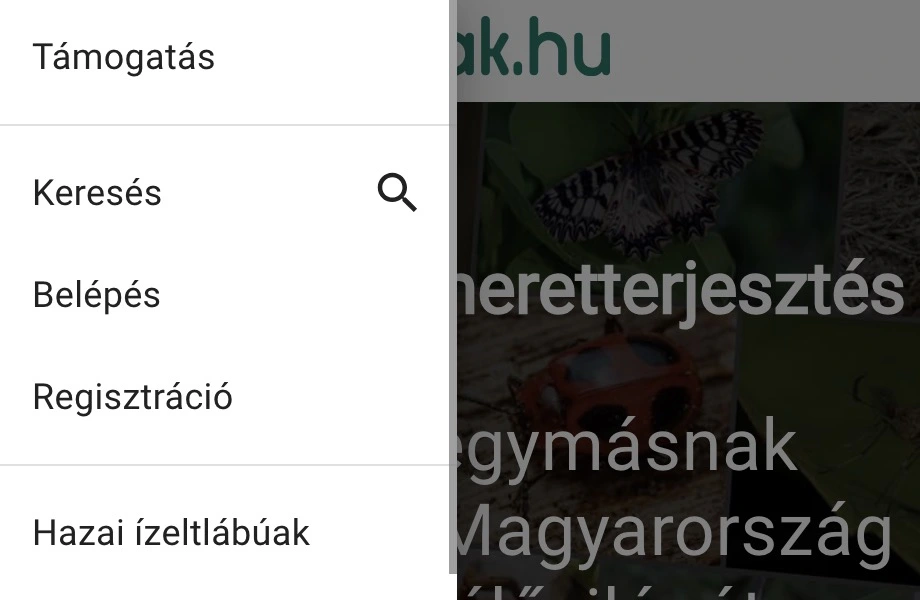 Keresés mobil nézetben