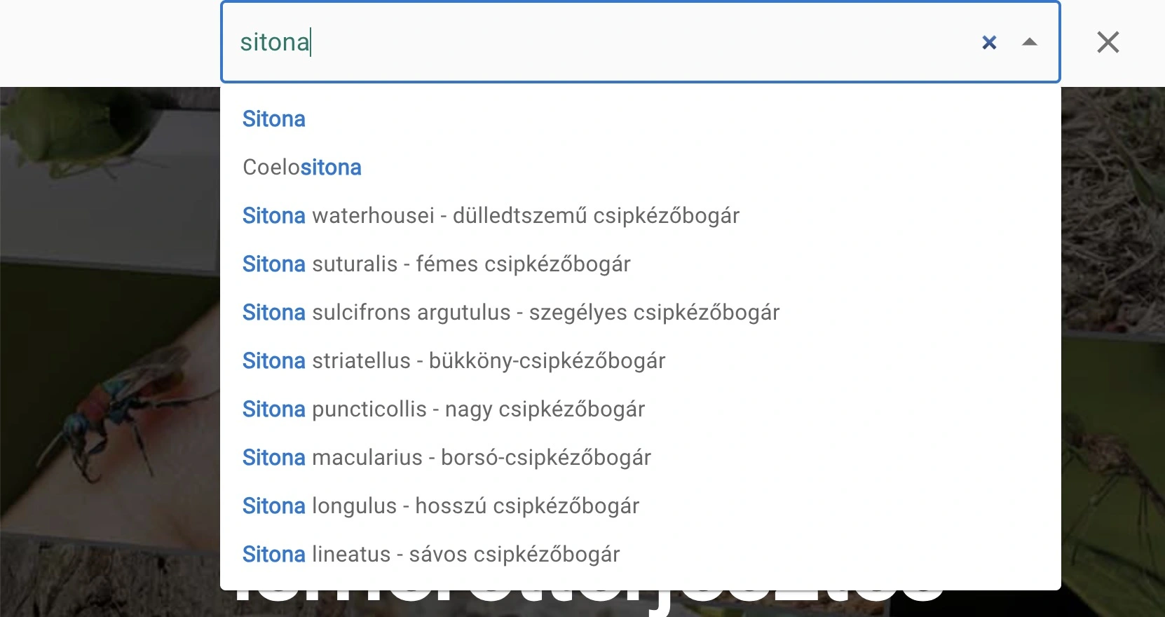 Keresés eredményekkel