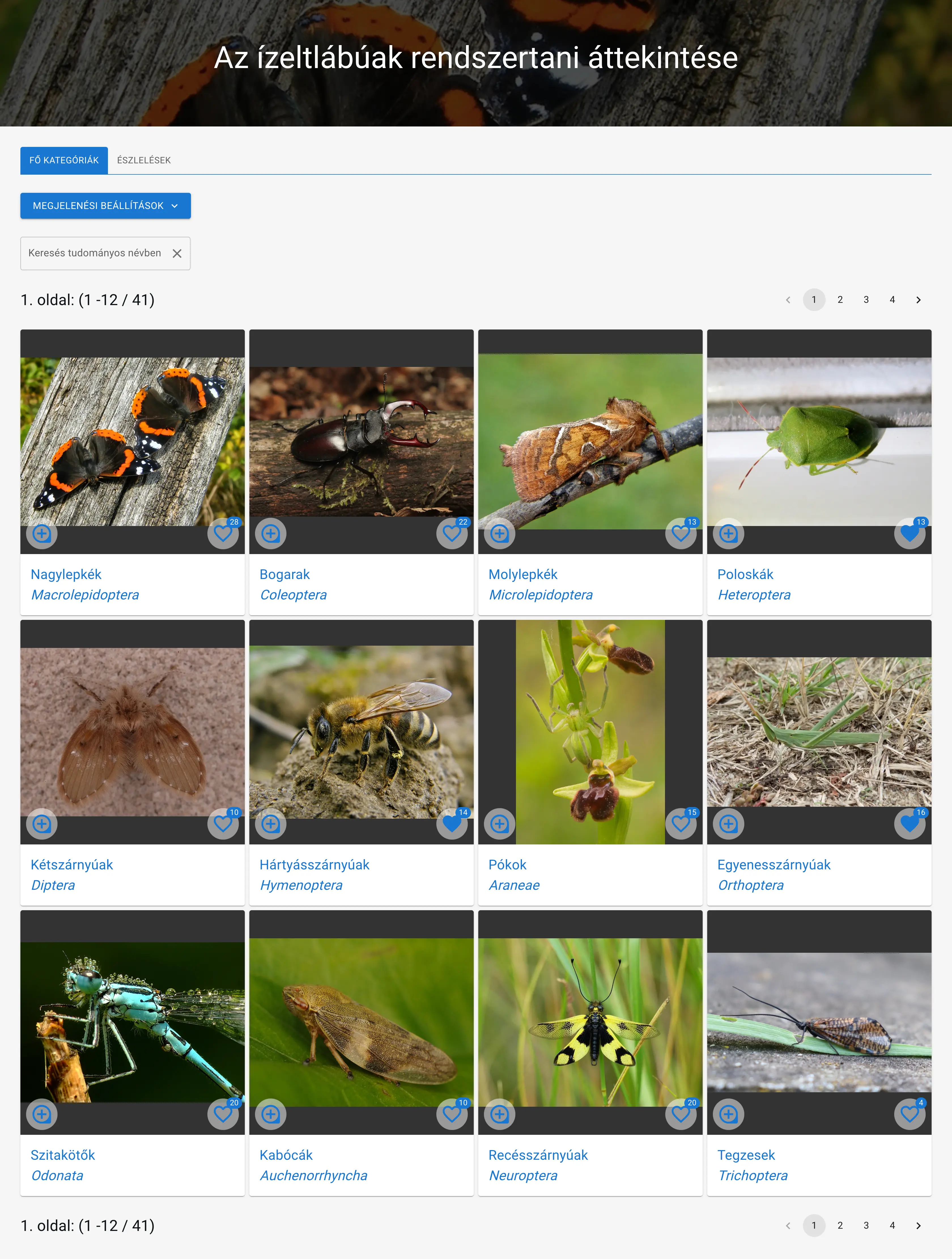 Példa galéria nézetre: fő kategóriák