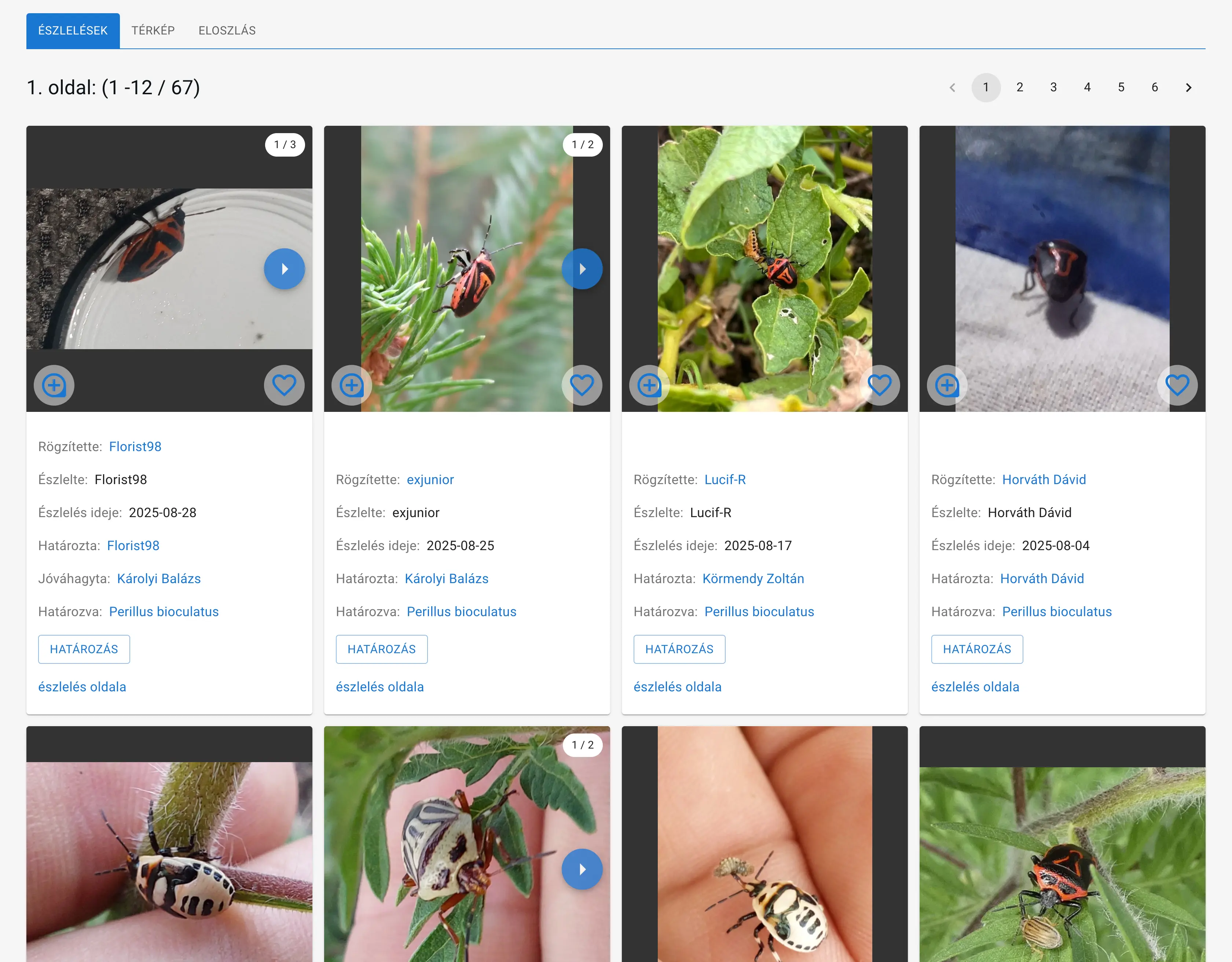 Eseményhez, vagy projekthez tartozó észlelések listája