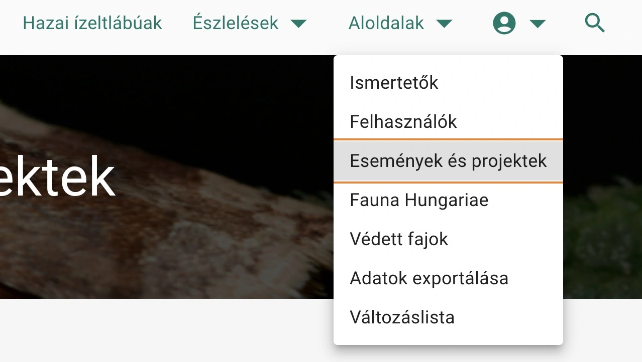 Esemény és projekt oldal elérése a fejléc menüből