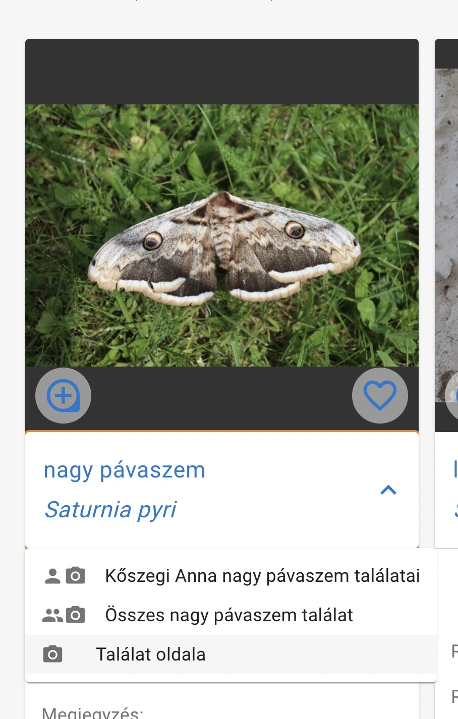 észlelés megtekintése az észlelések listájáról indulva