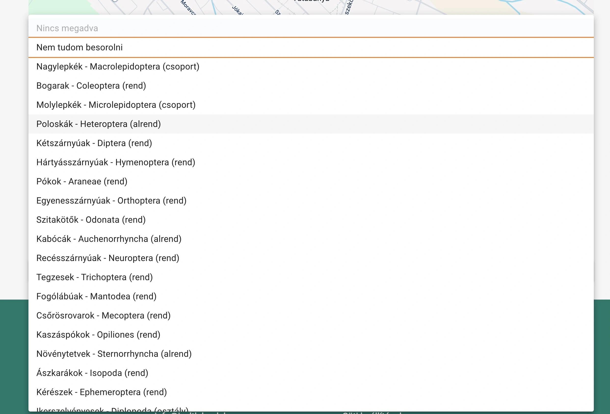 Fő kategória megadása