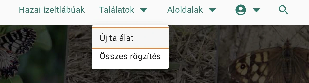 a menü 'Új észlelés' gombja