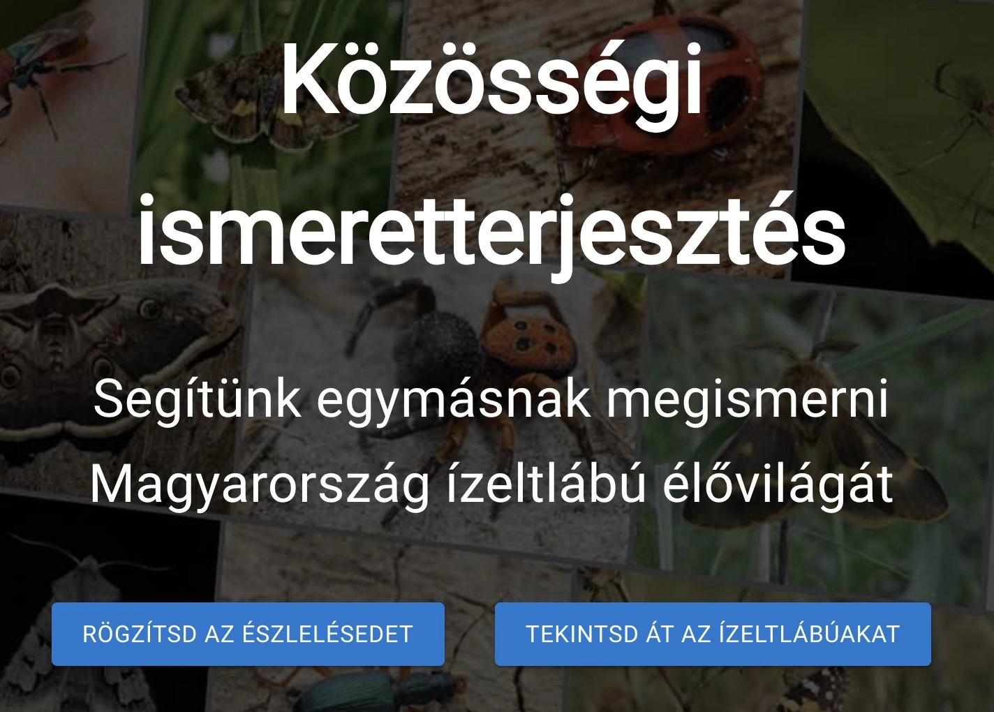 a nyitóoldal 'Rögzítsd az észlelésedet' gombja