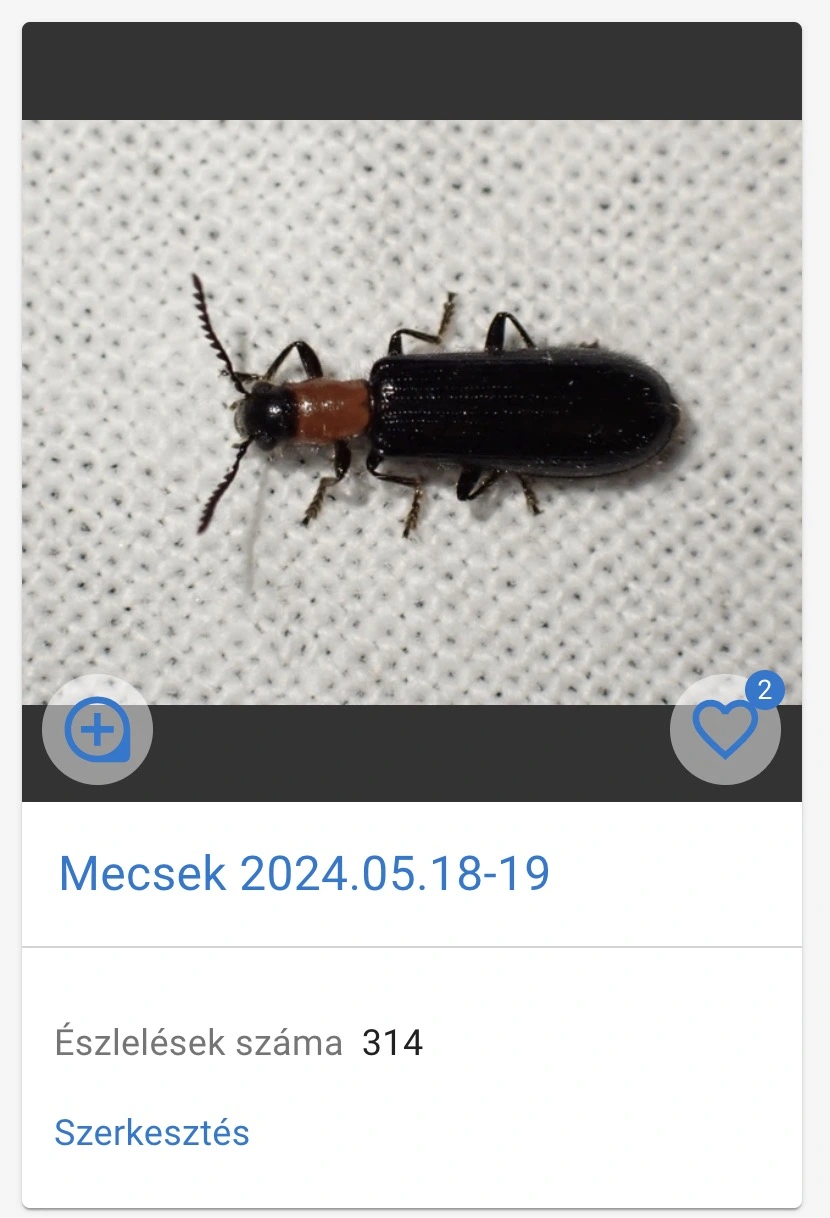 Observation groups list element