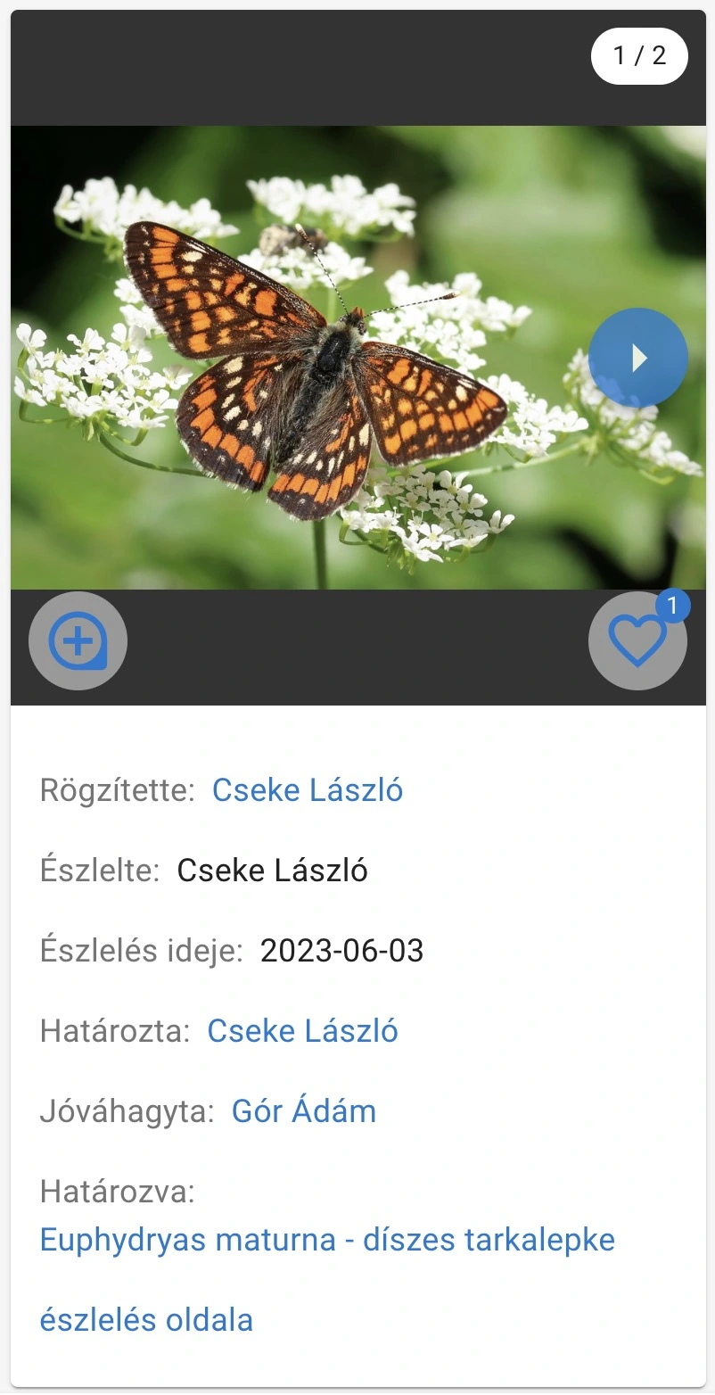 Observation group list element