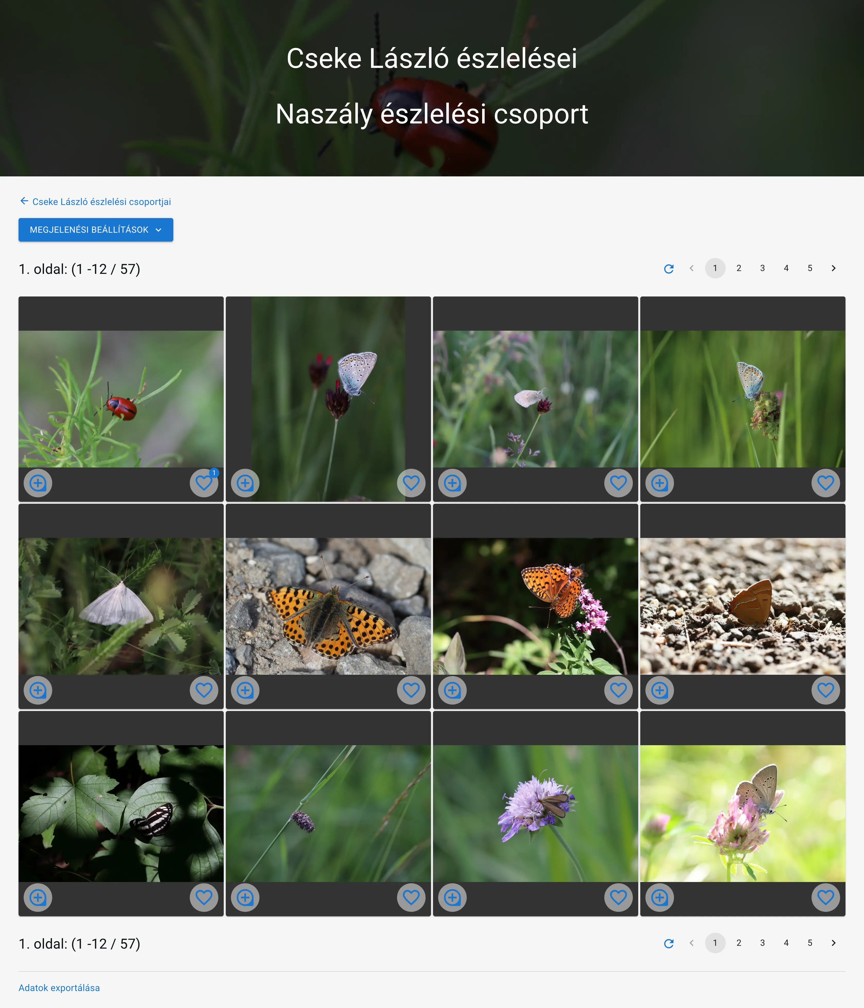Example: One of László Cseke's observation groups