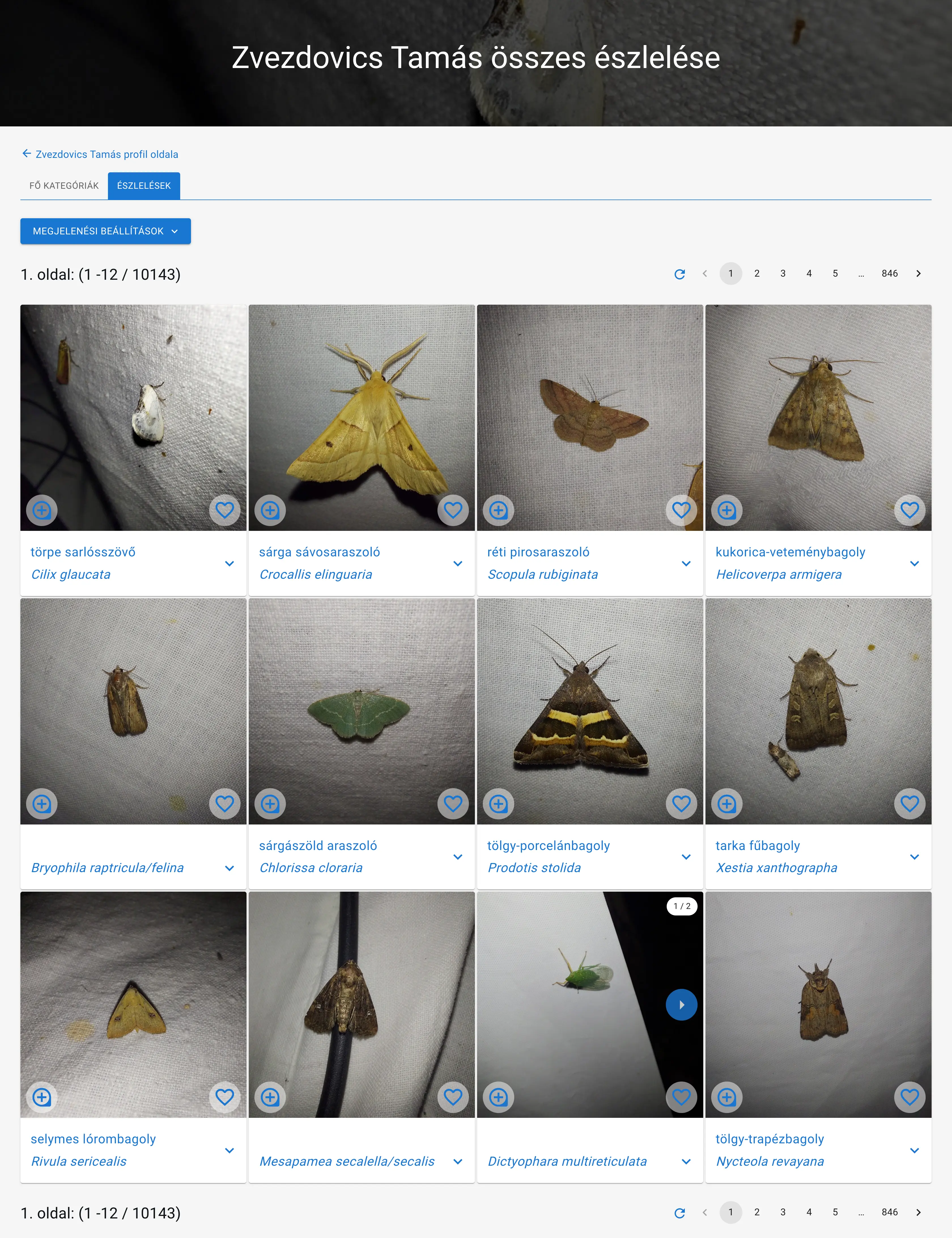 Zvezdovics Tamás észlelései