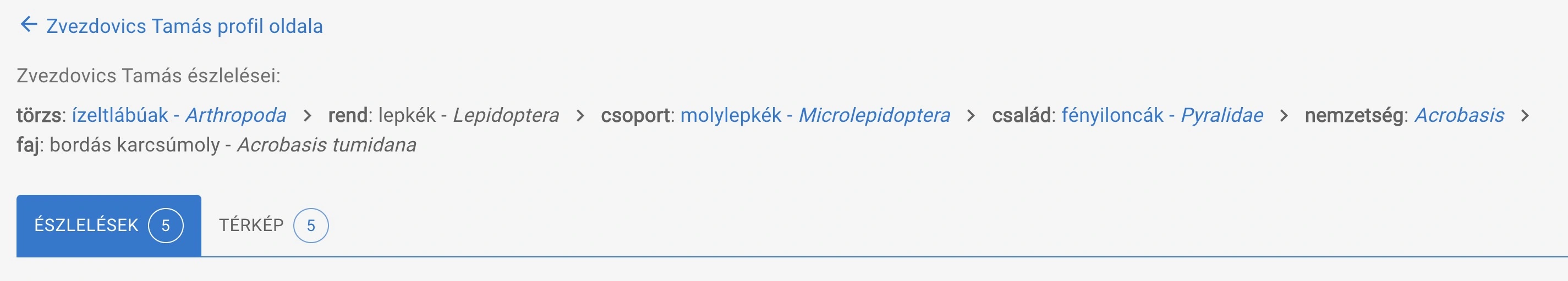 Navigáció és megjelenési beállítások