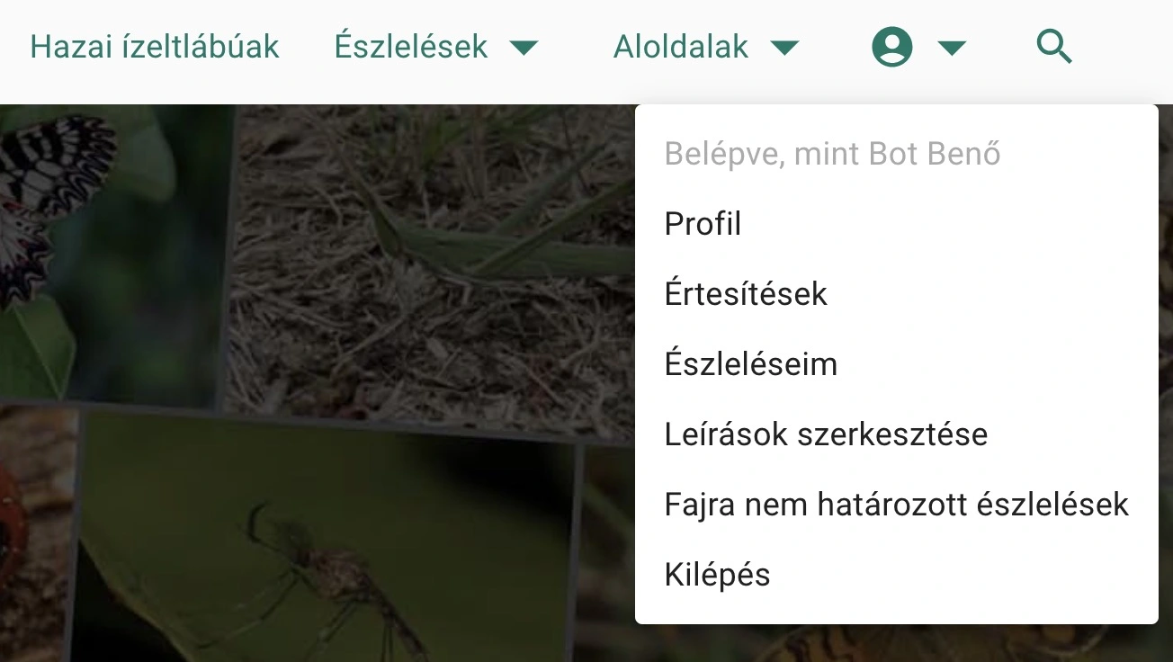 Észleléseim menüpont