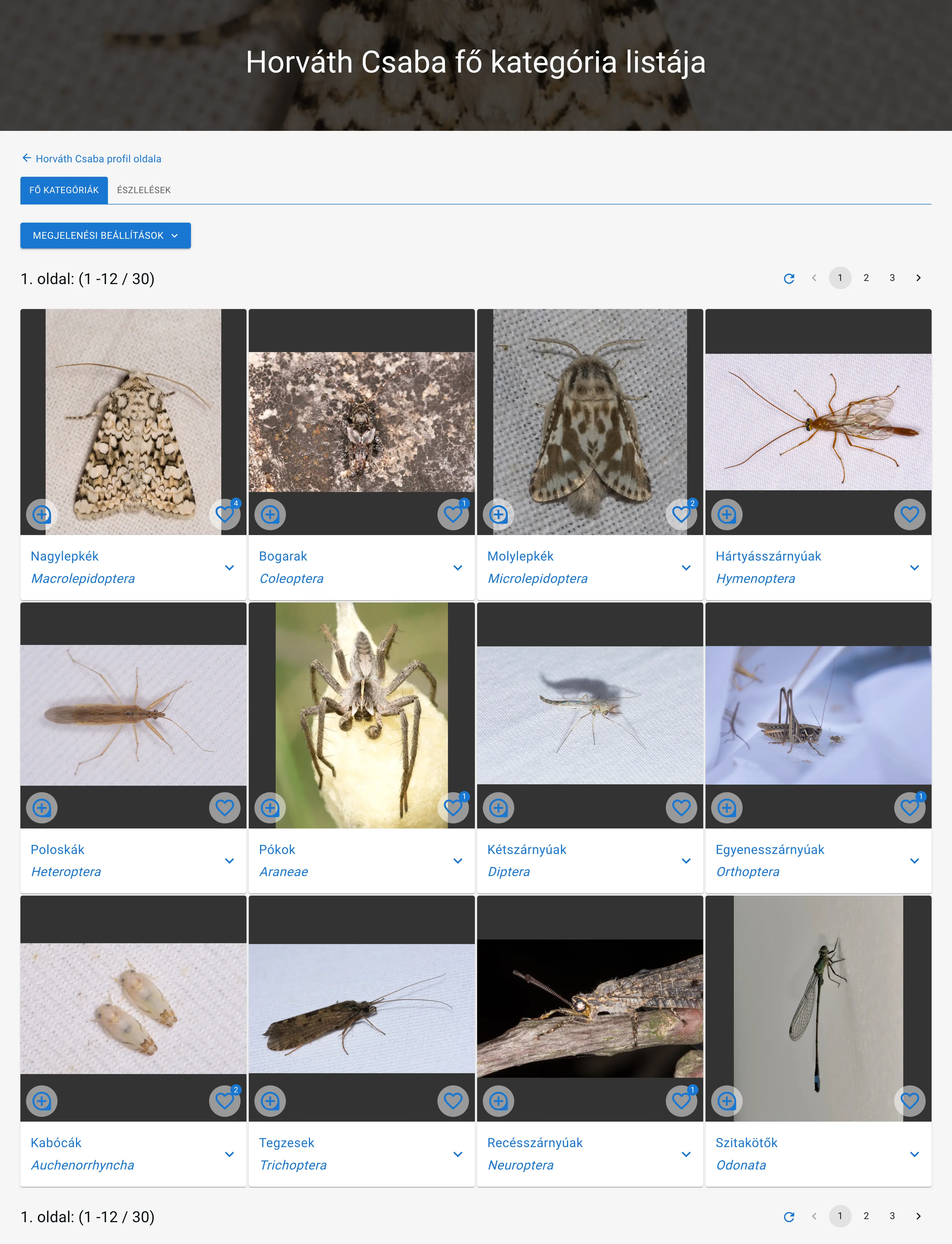 Example: Csaba Horváth's observed taxonomic categories