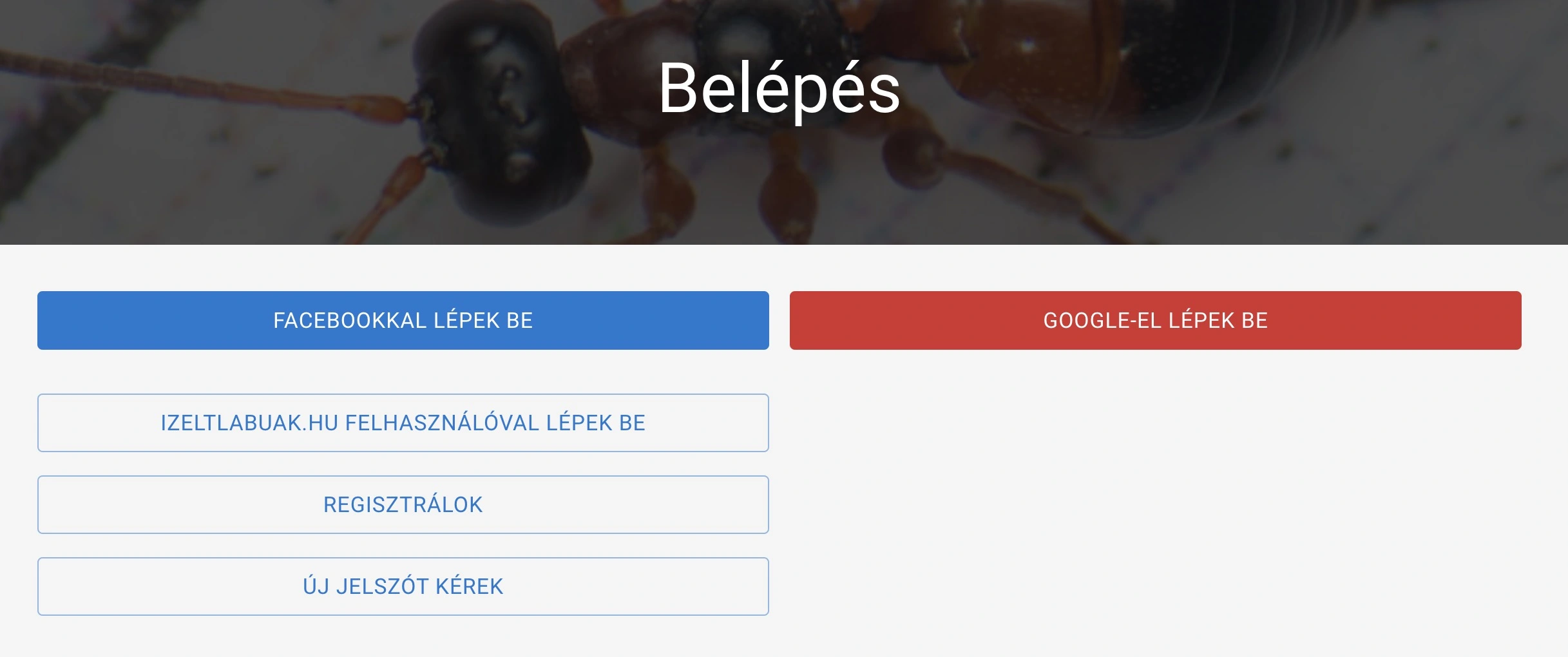 Belépés az izeltlabuak.hu - ra Facebookkal, vagy Google-el