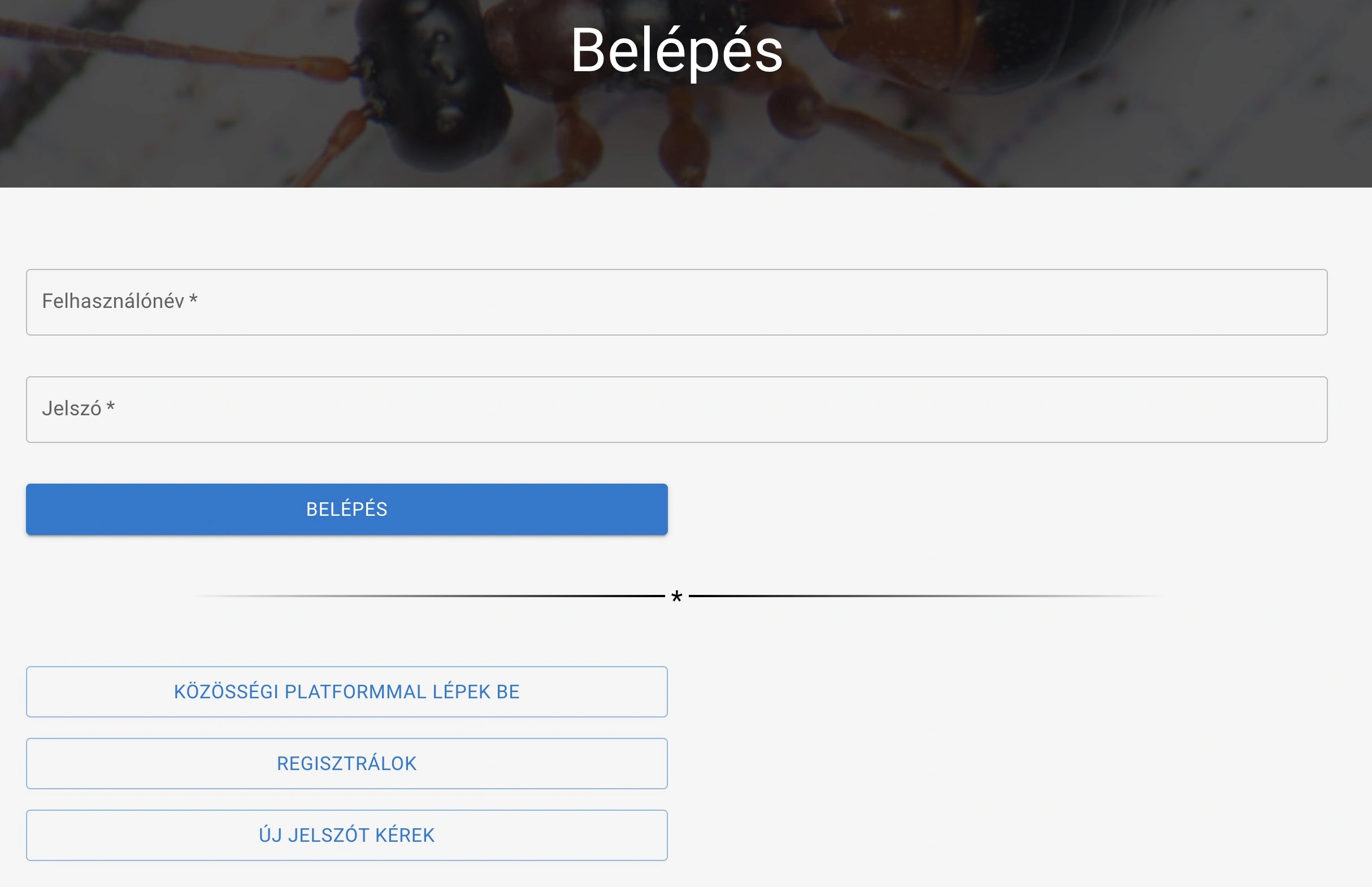 Belépés az izeltlabuak.hu - ra