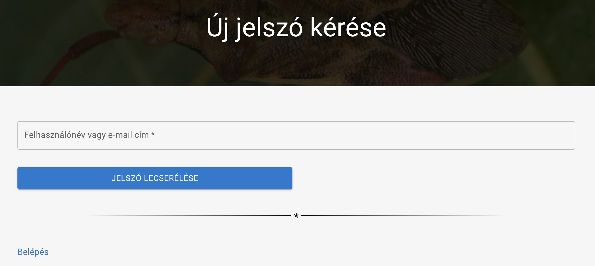 Új jelszó beállítása