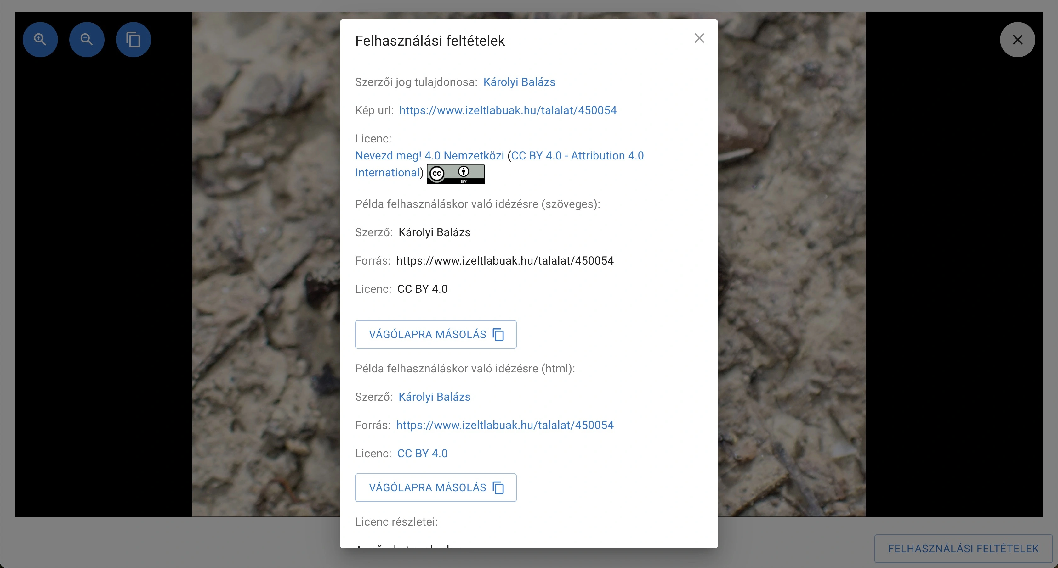 Felhasználási feltételek megjelenítése kép ablakban