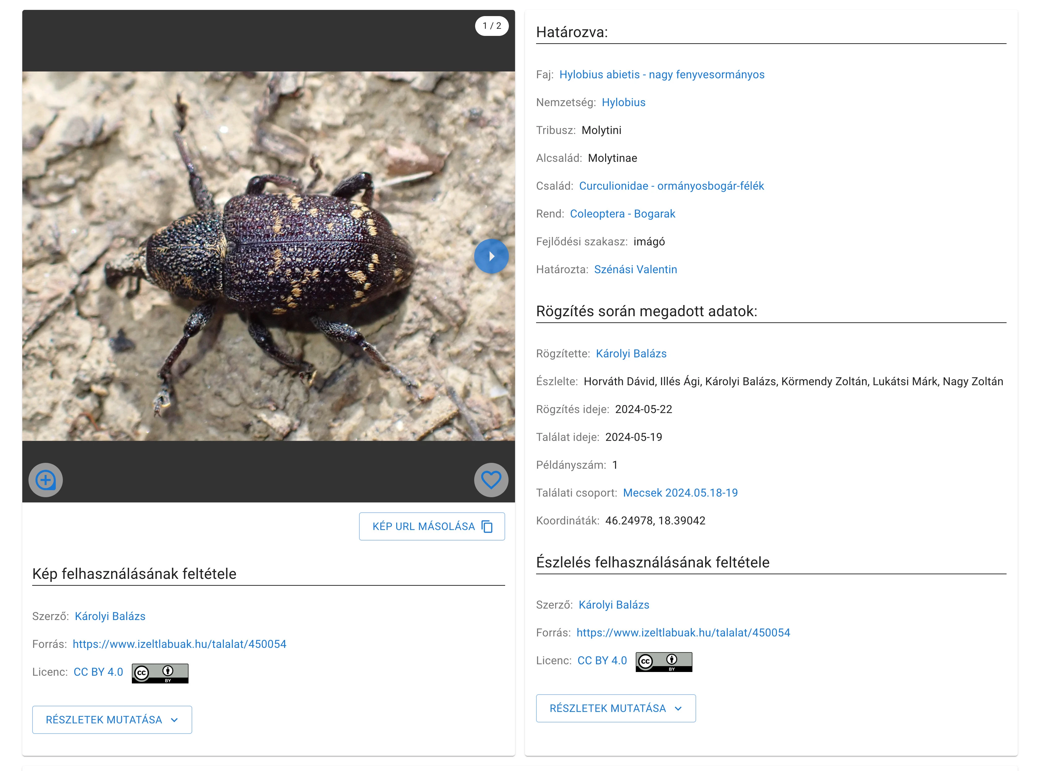 Felhasználási feltételek megjelenítése észlelés oldalon