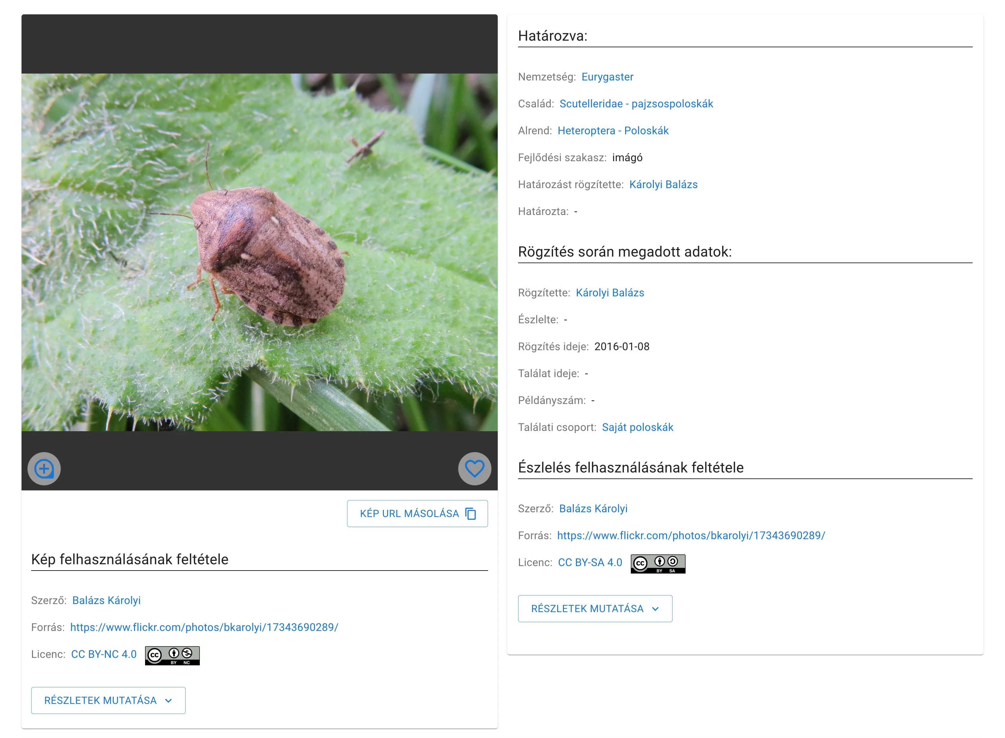 Importált felhasználási feltételek megjelenítése észlelés oldalon