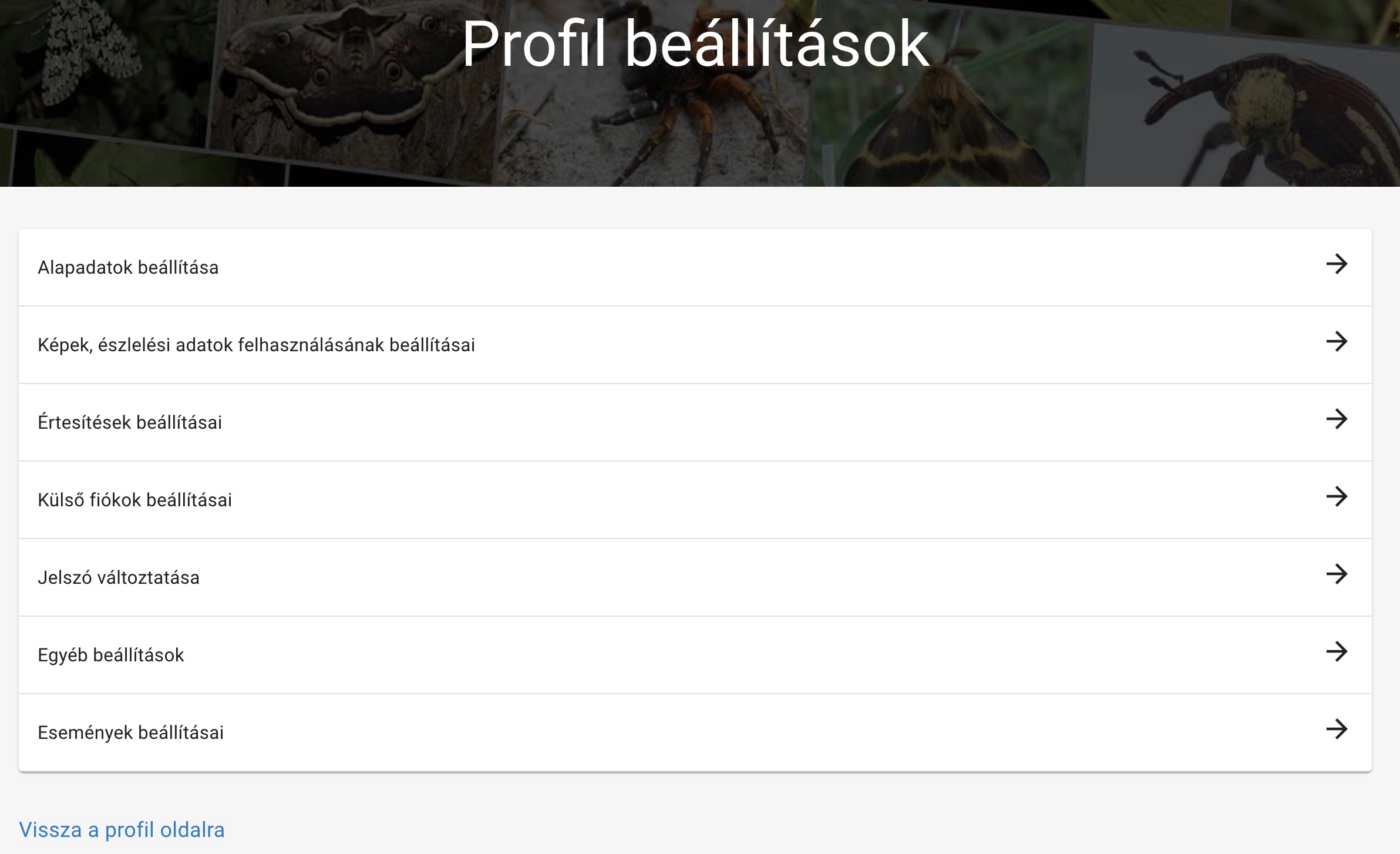 Beállításaim oldal