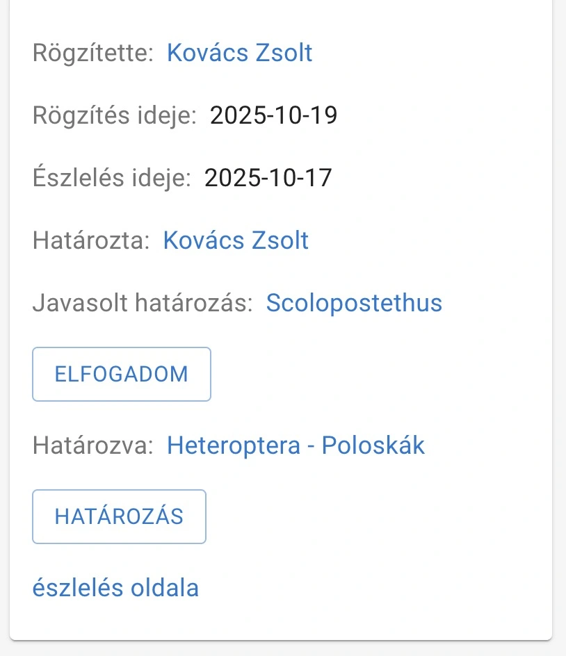 elfogadás gomb egy észlelés megjelenésénél