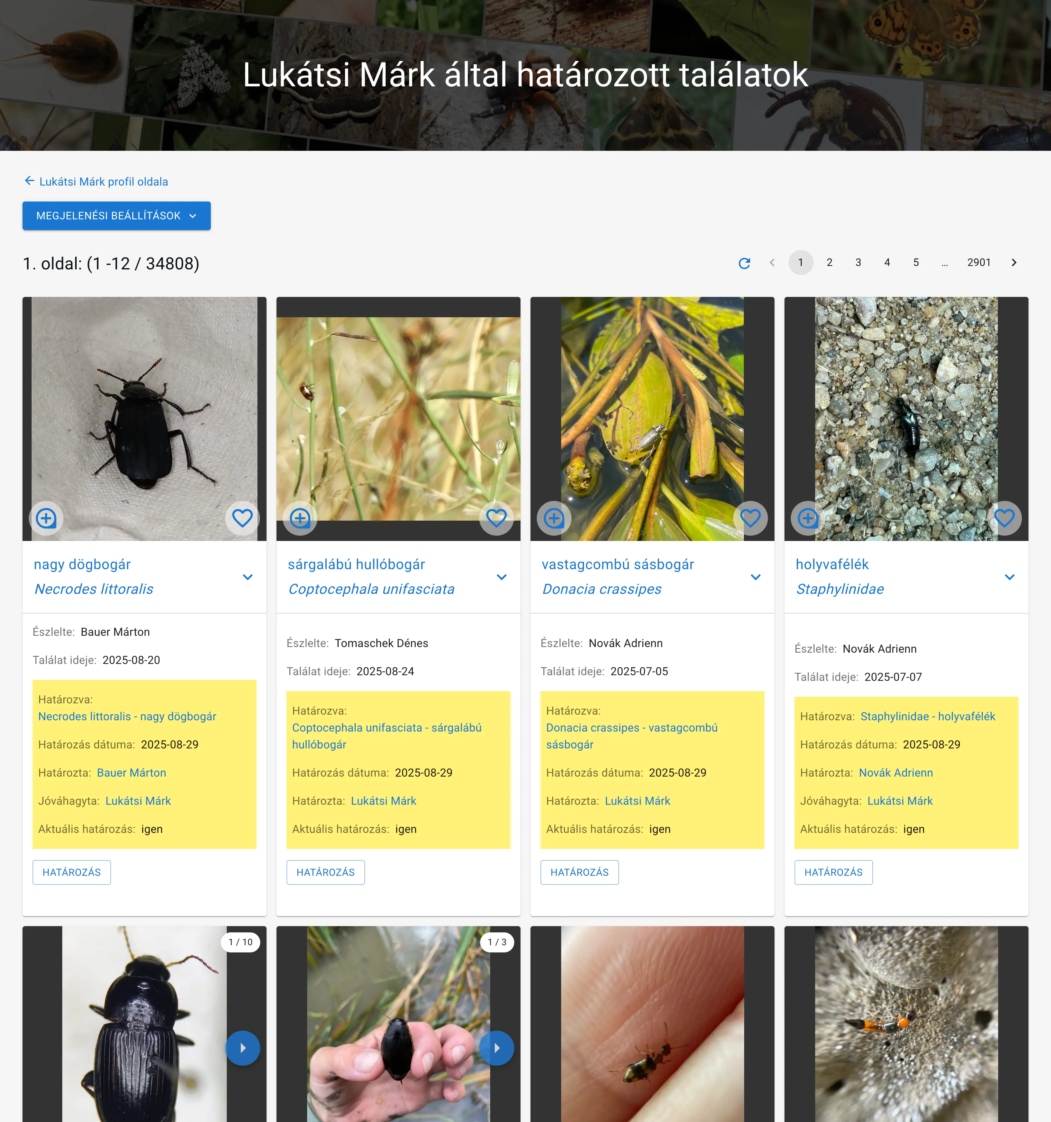 Egy felhasználó által adott határozások