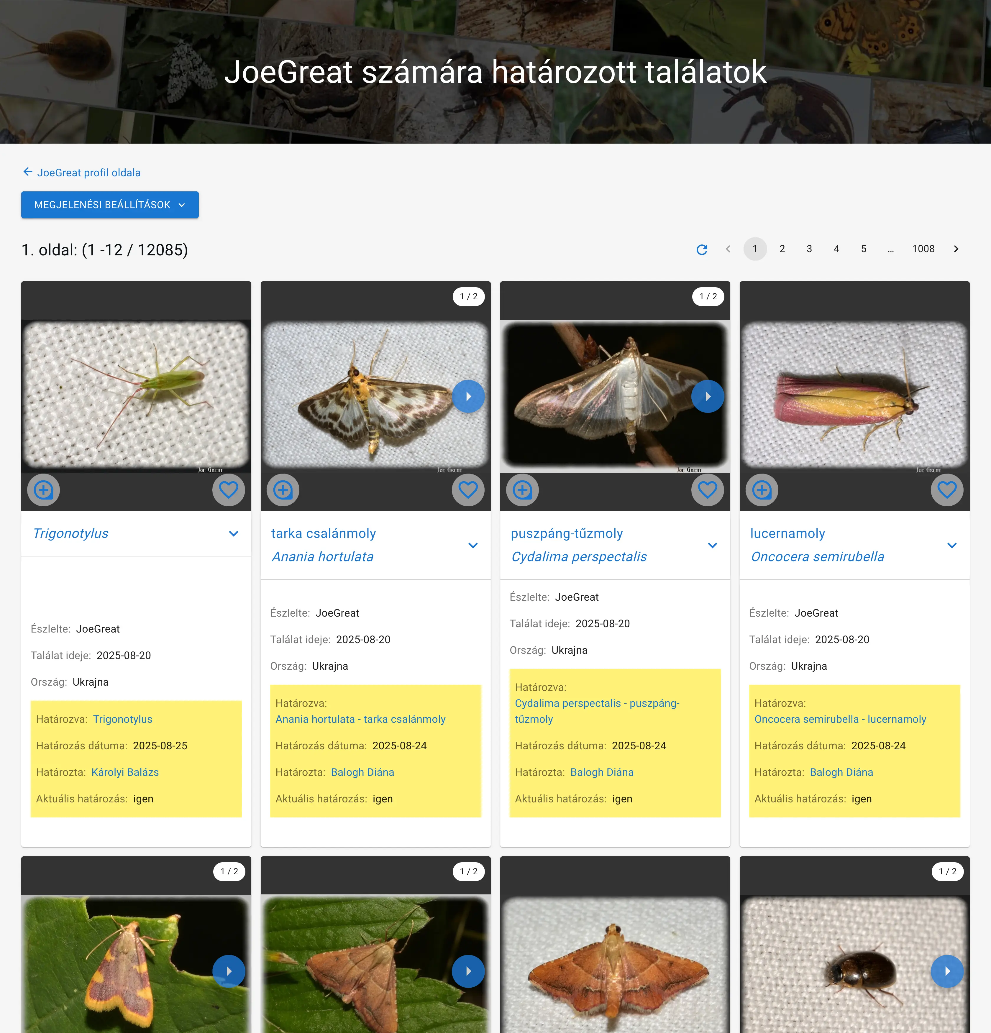 Egy felhasználó számára adott határozások