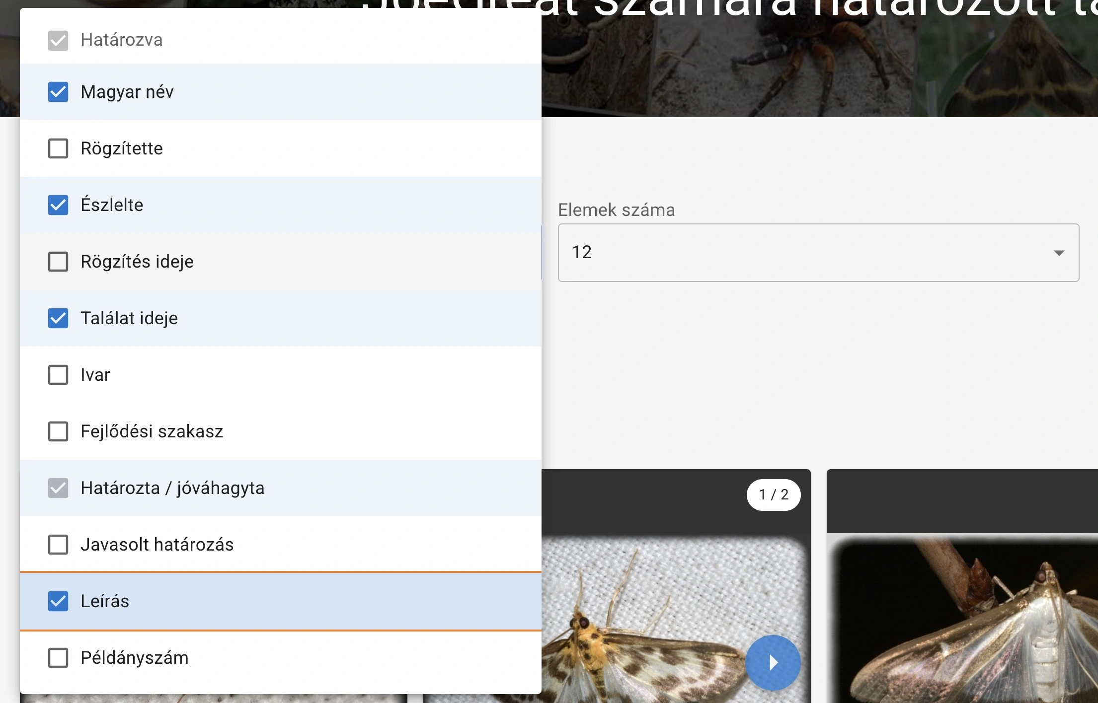 Észlelés tulajdonságai