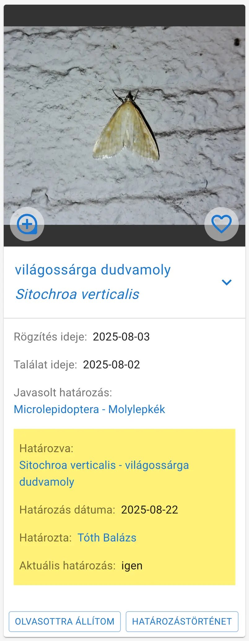 Értesítés listaelem
