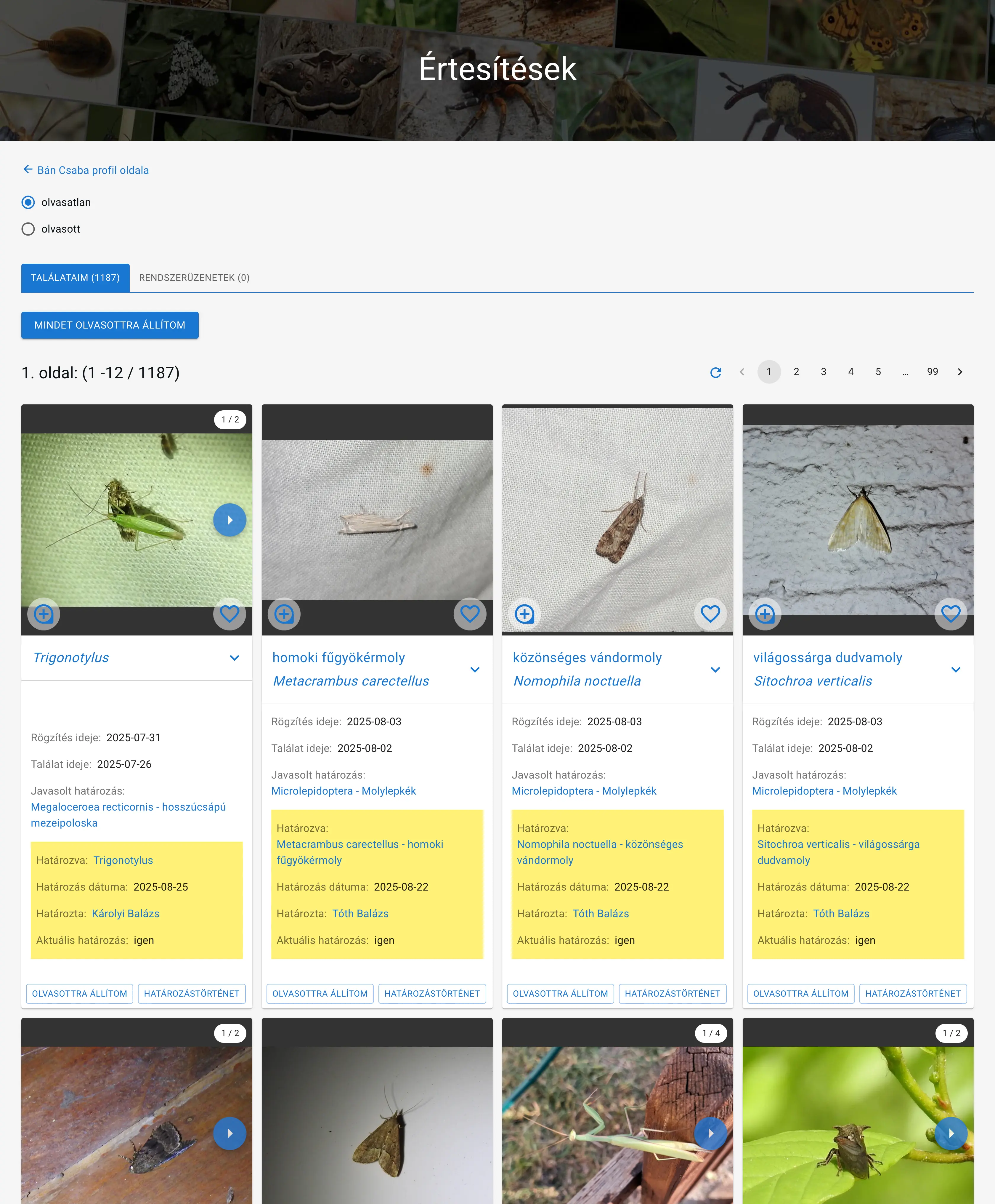 Értesítések oldal