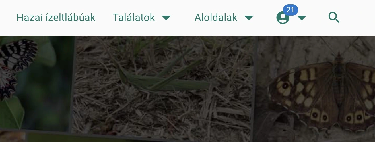 Értesítések jelzése