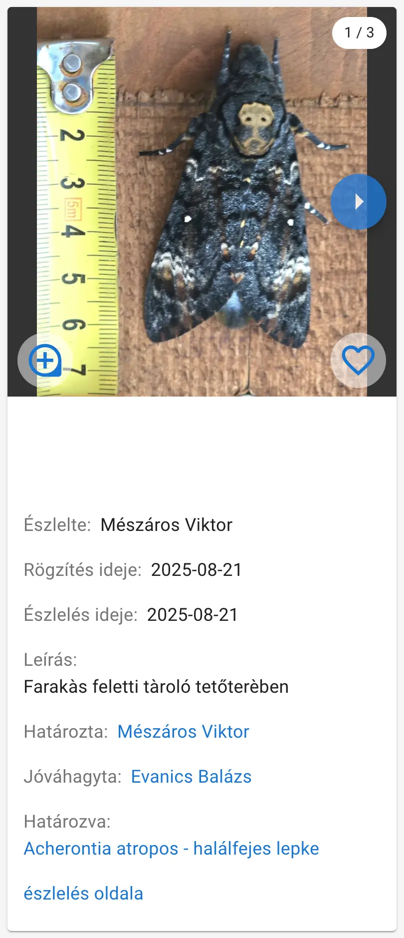 Észlelés listaelem