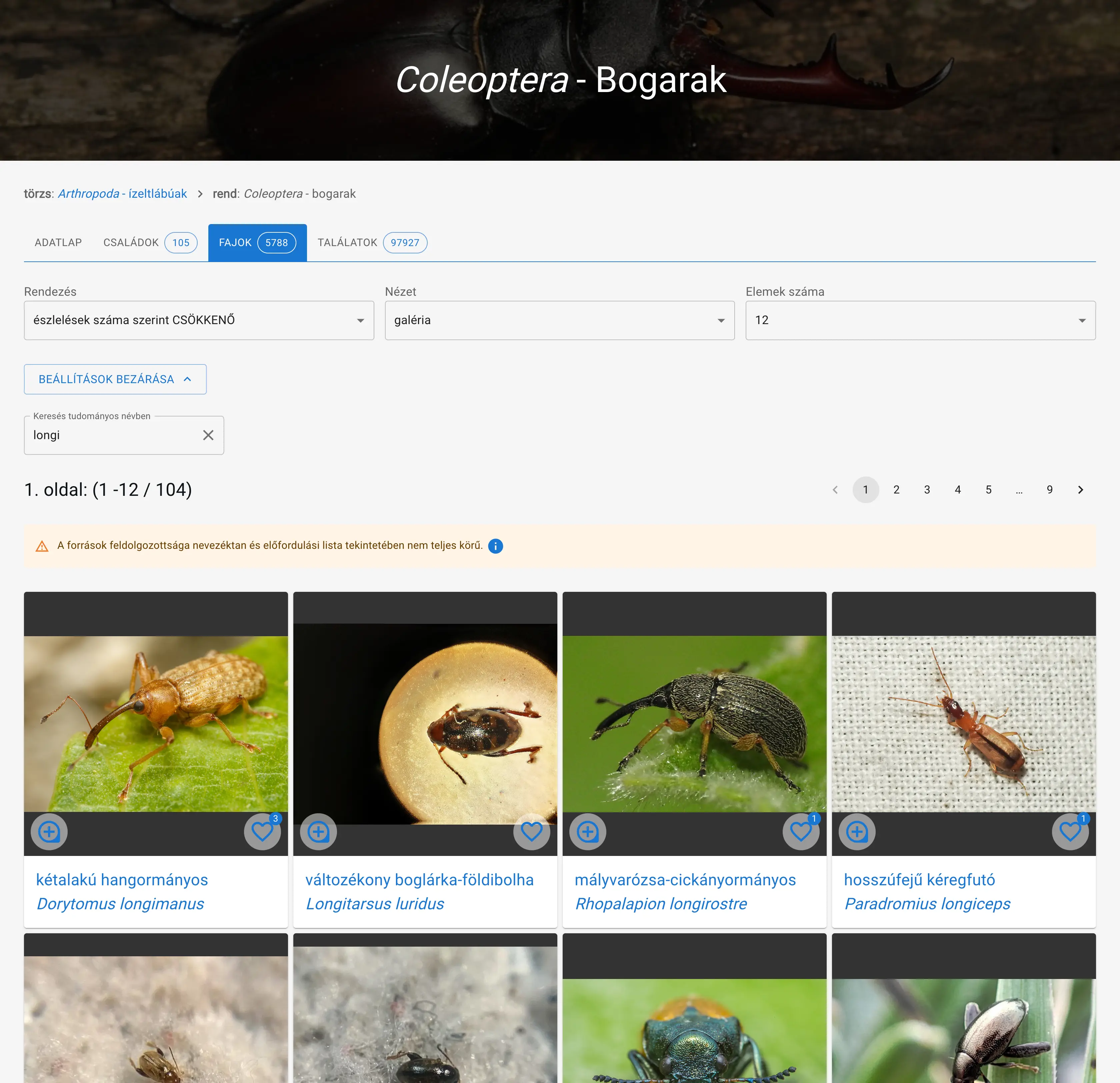 Megjelenési beállítások és keresés