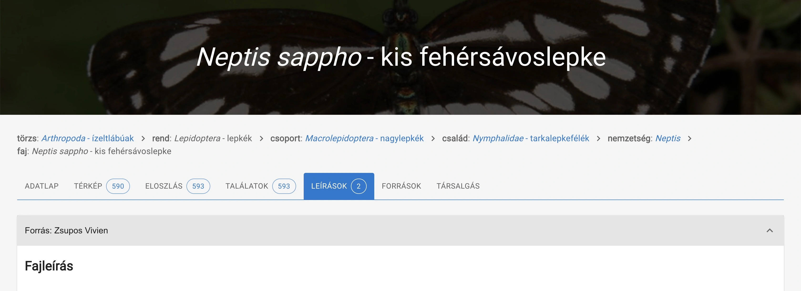 Neptis sappho descriptions