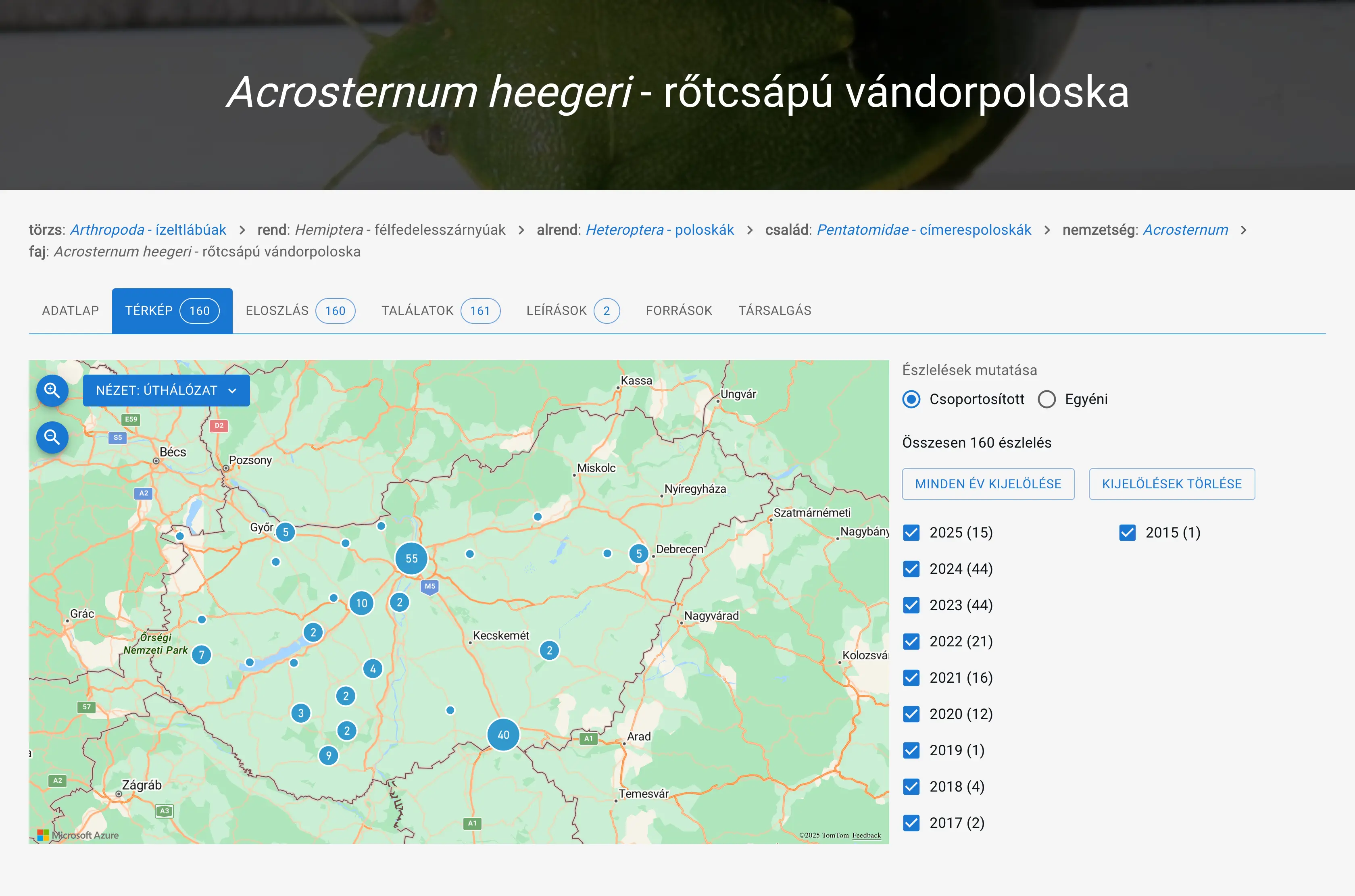 Térképes megjelenítés
